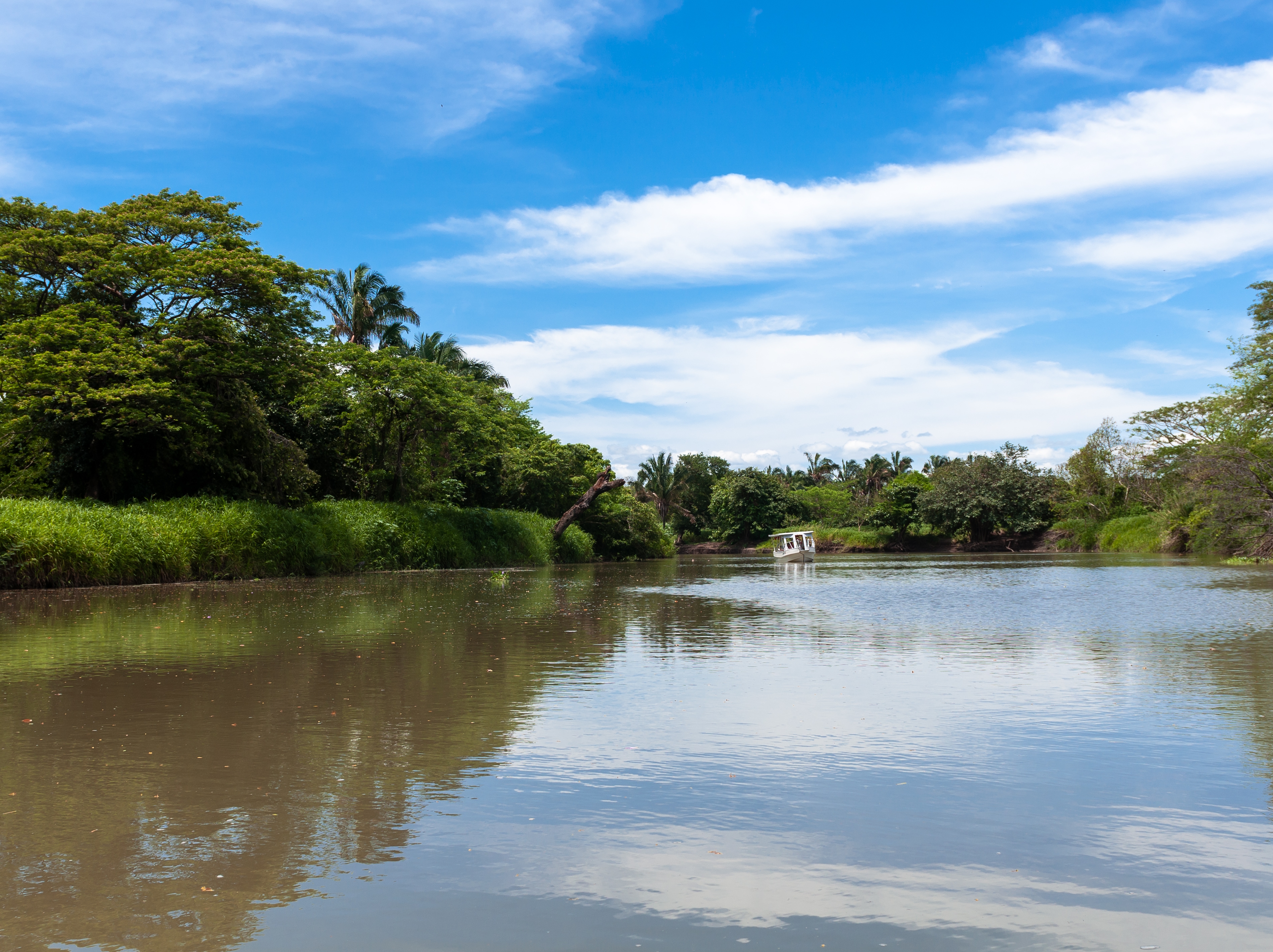 Puerto Viejo de Sarapiqui Fluss