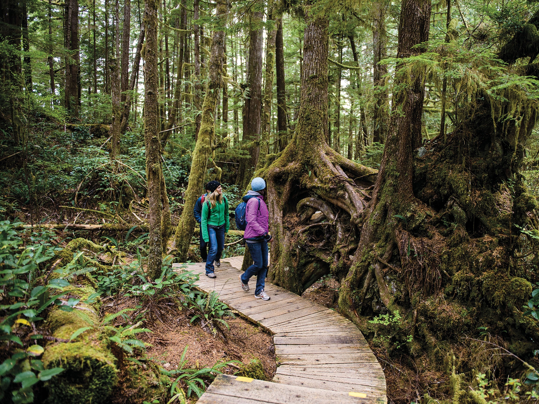 Tofino Hot Springs Cove