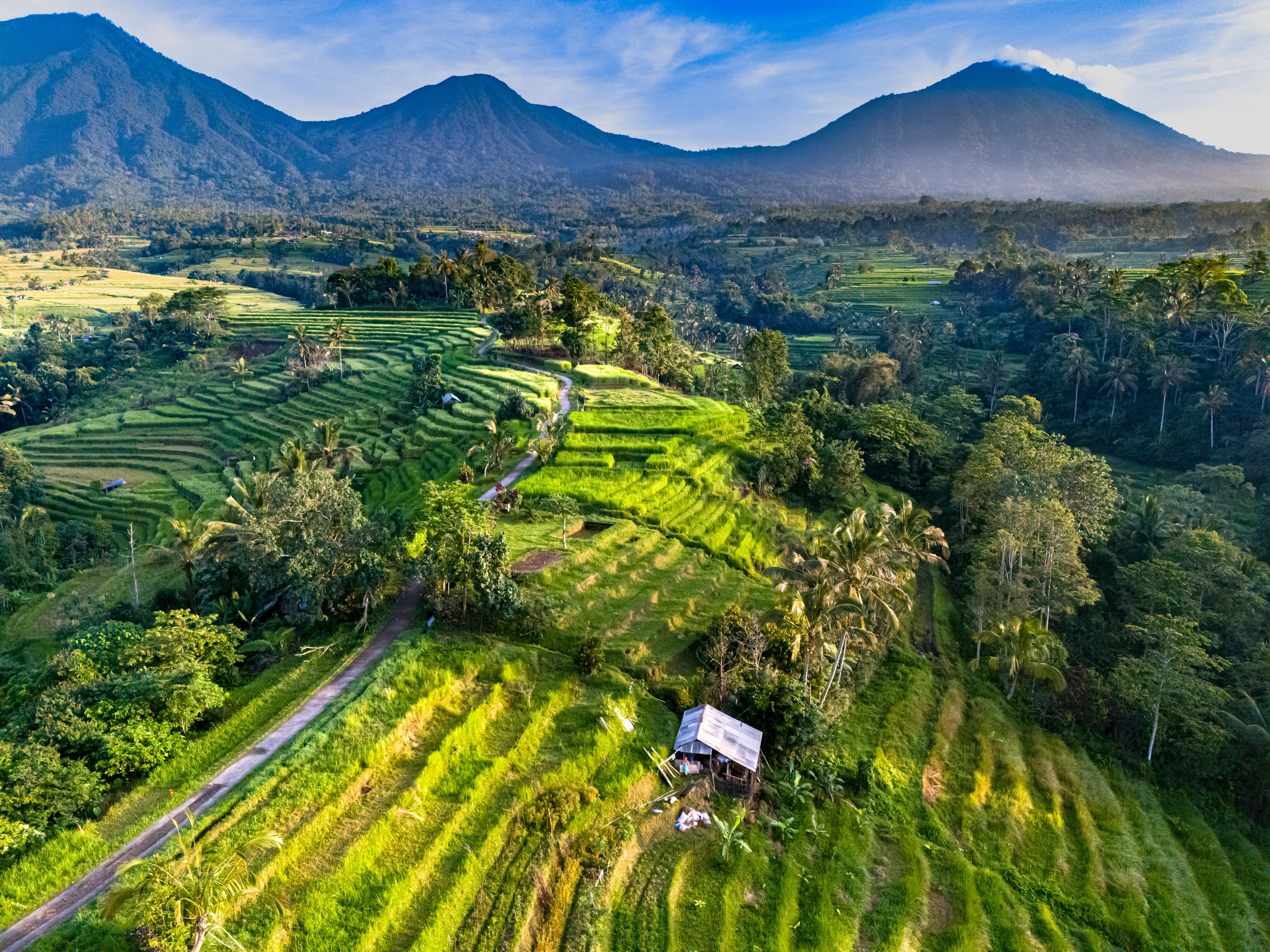 Bali Jatiluwih