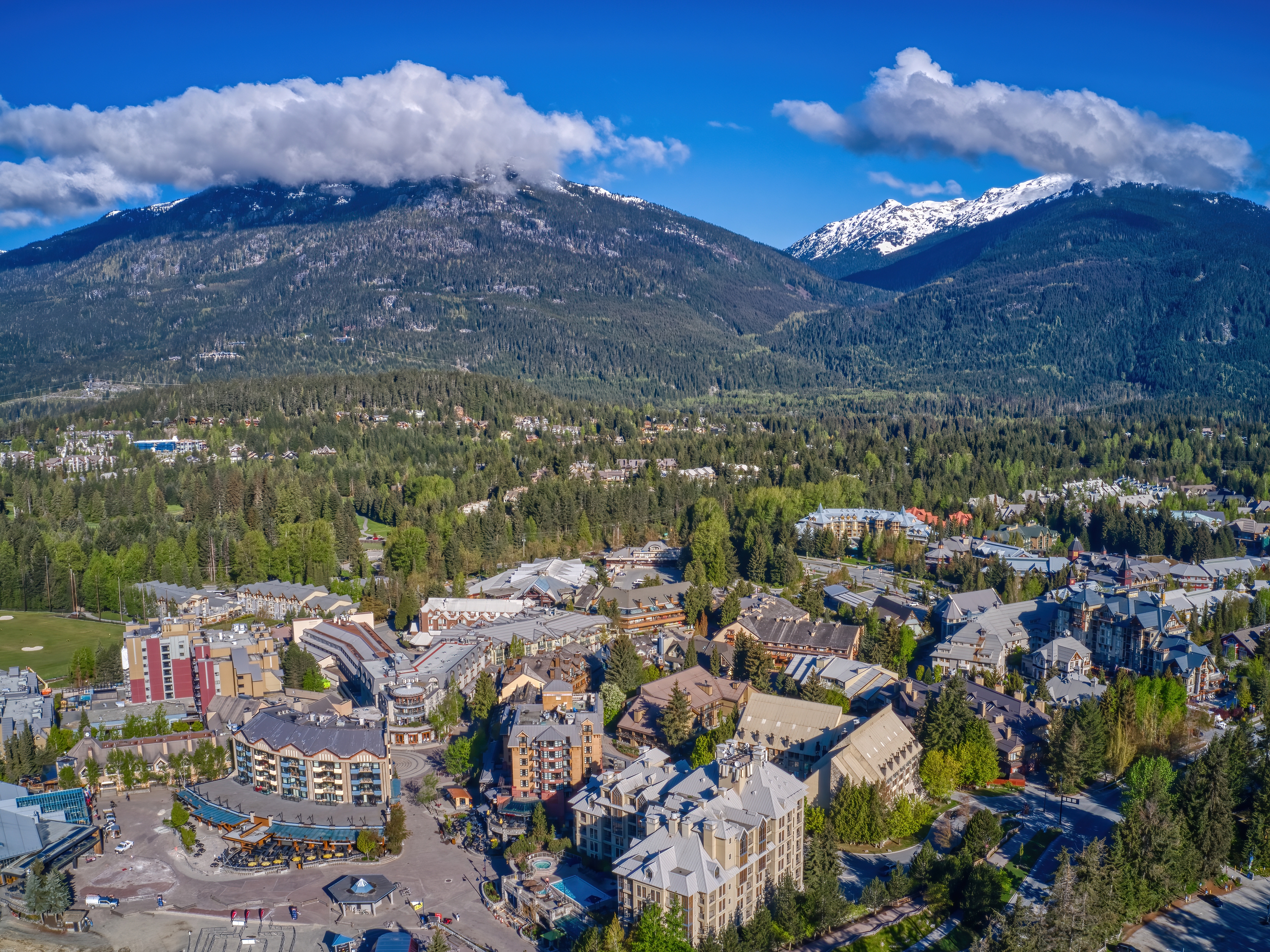 Whistler