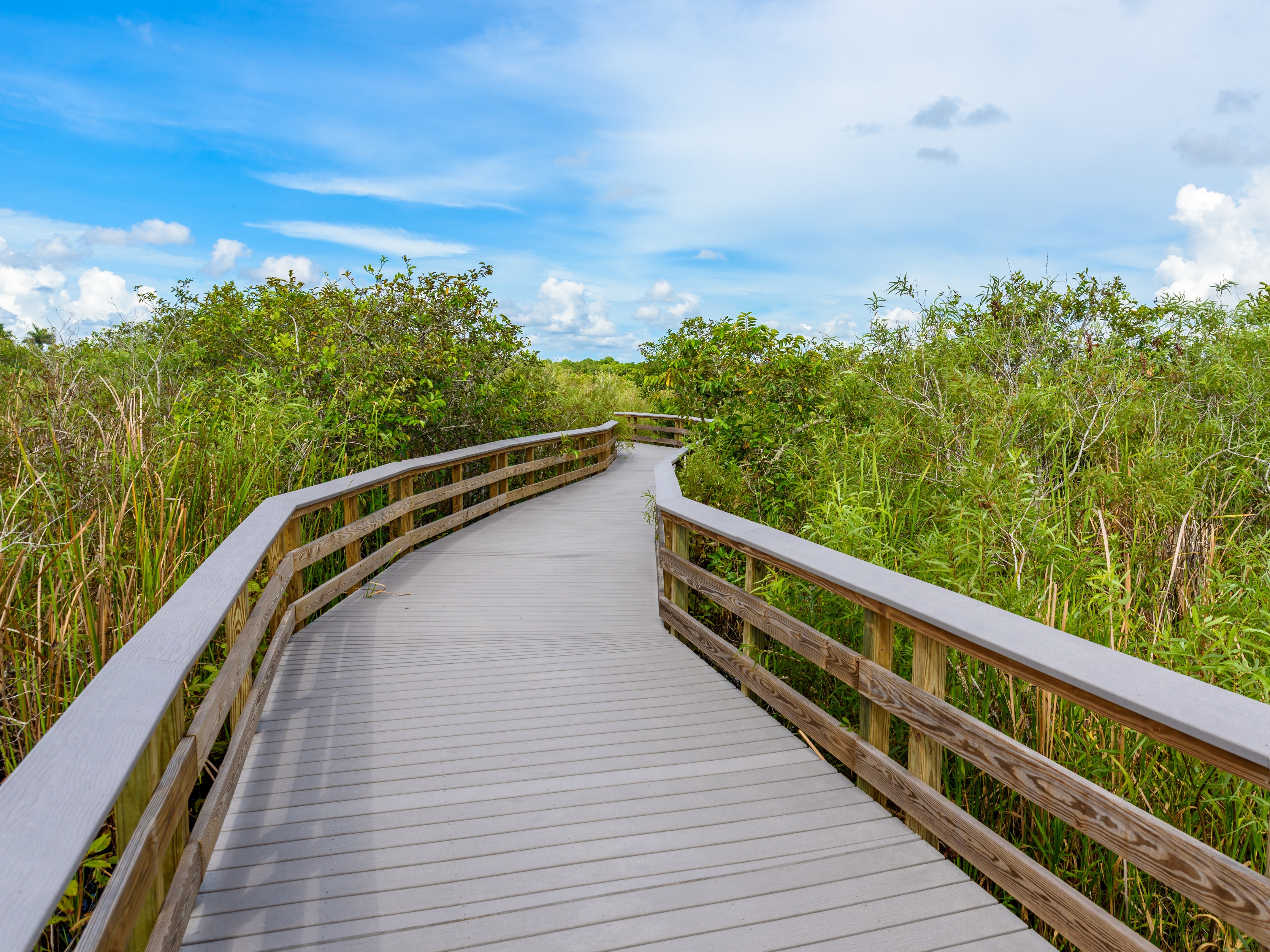 Everglades Nationalpark Anhinga Trail