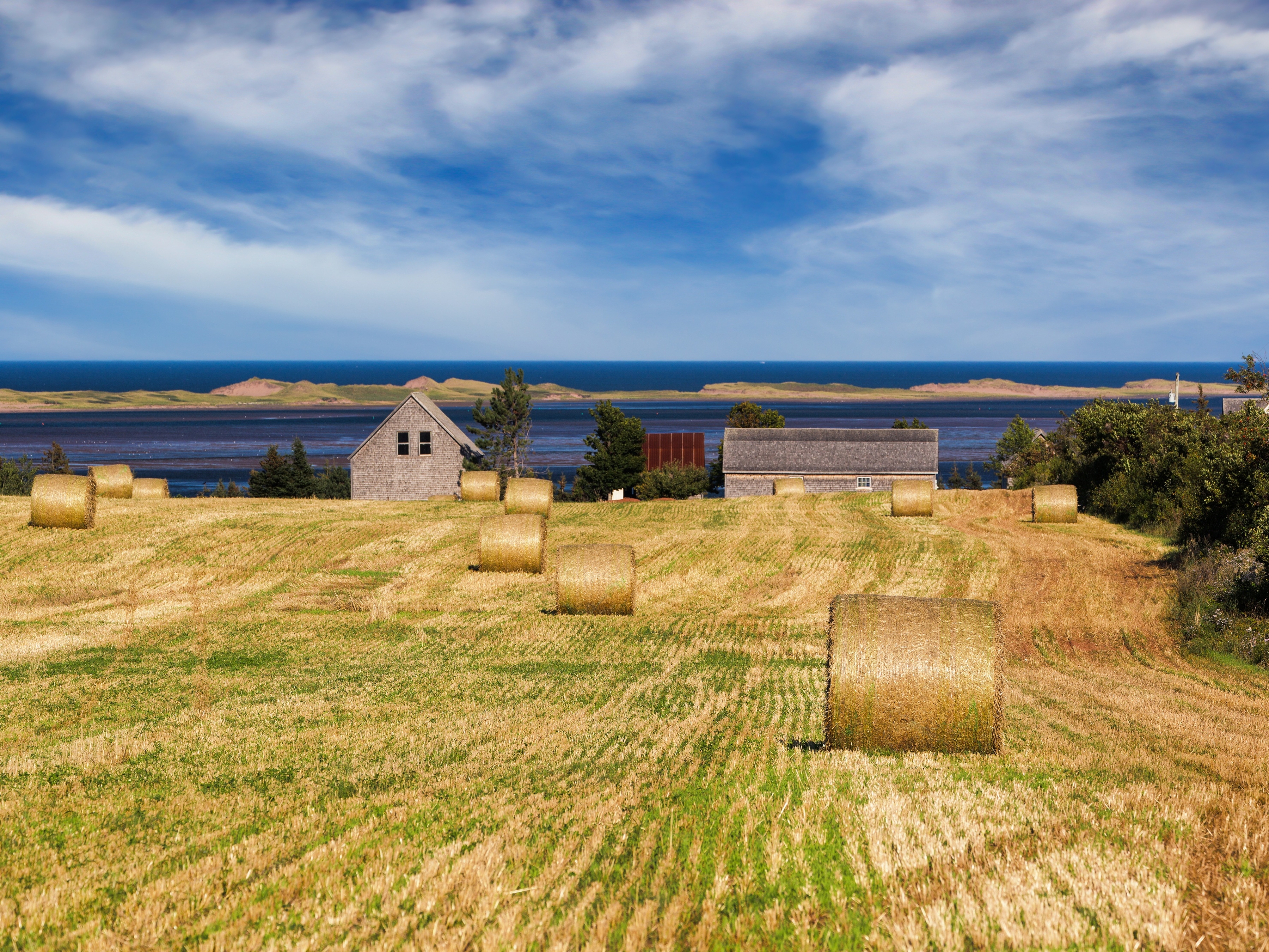 Prince Edward Island Stoppelfelder