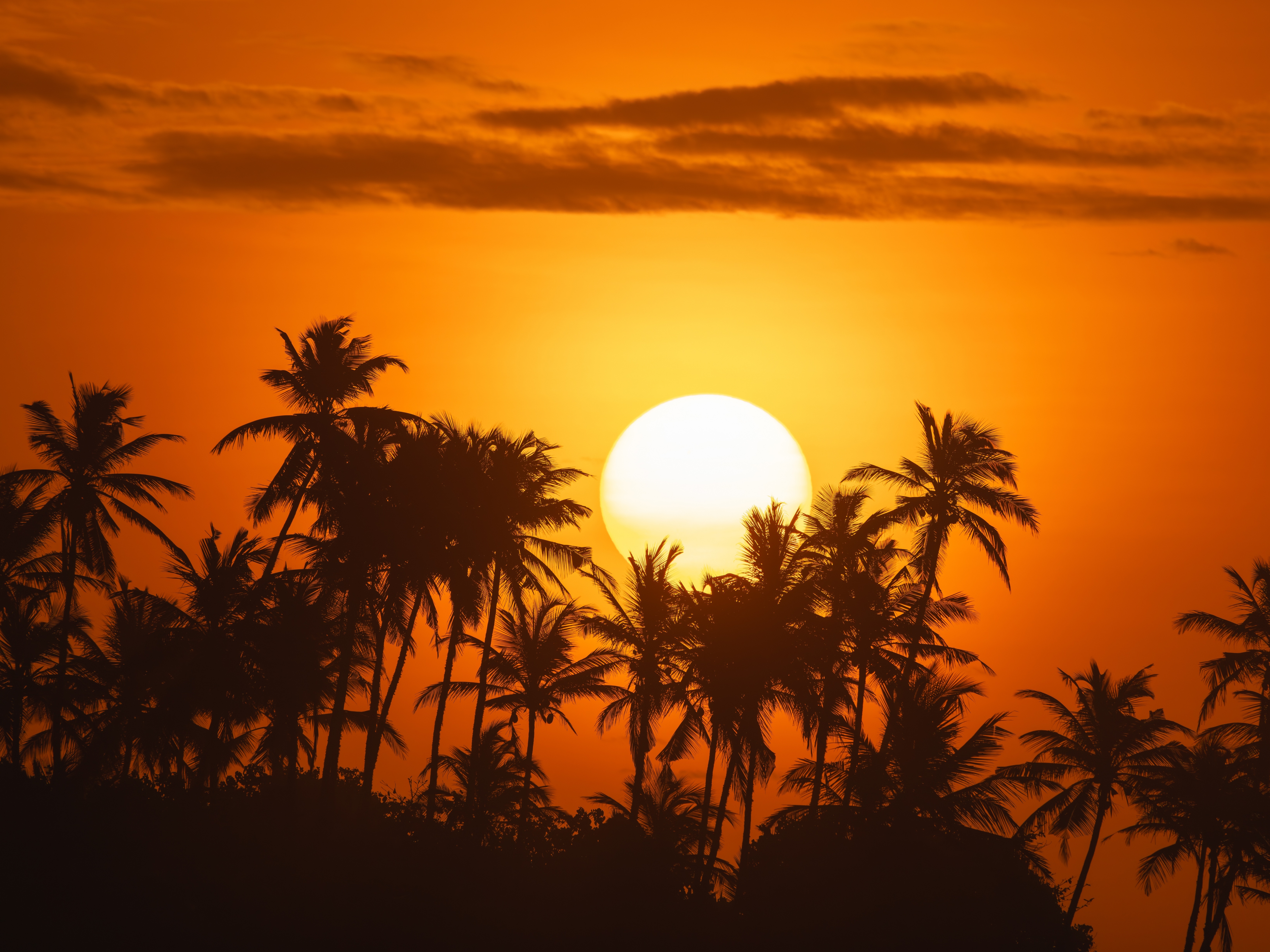 Tropischer Sonnenuntergang