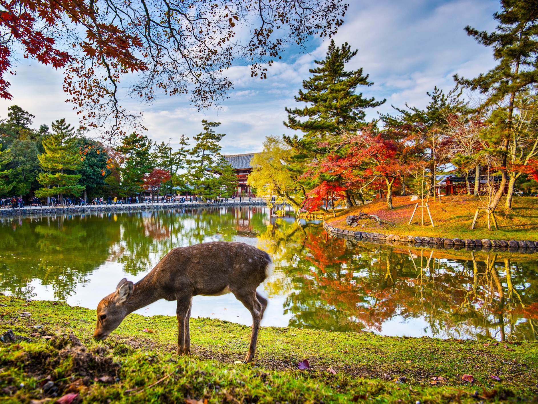 Nara Todaiji Tempel