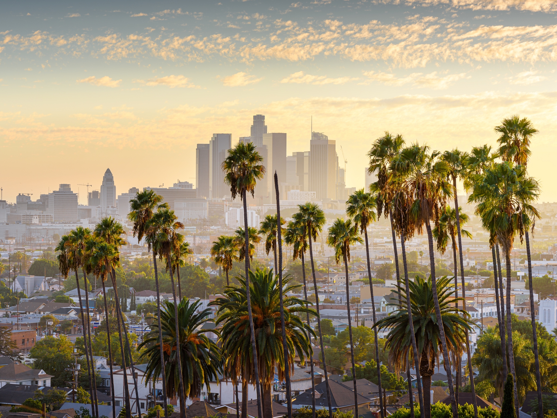 Los Angeles Downtown Skyline  