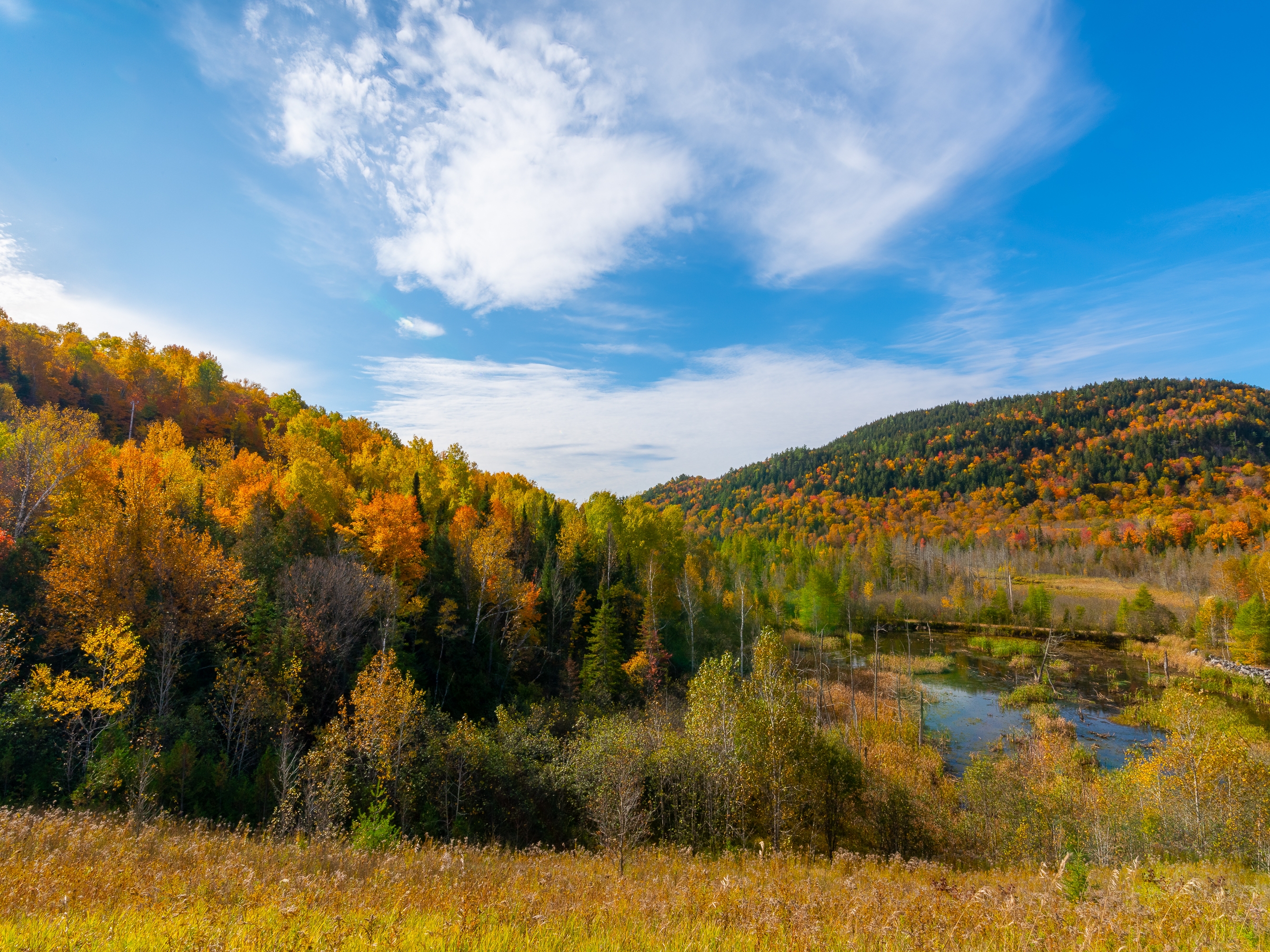 Mont Laurier