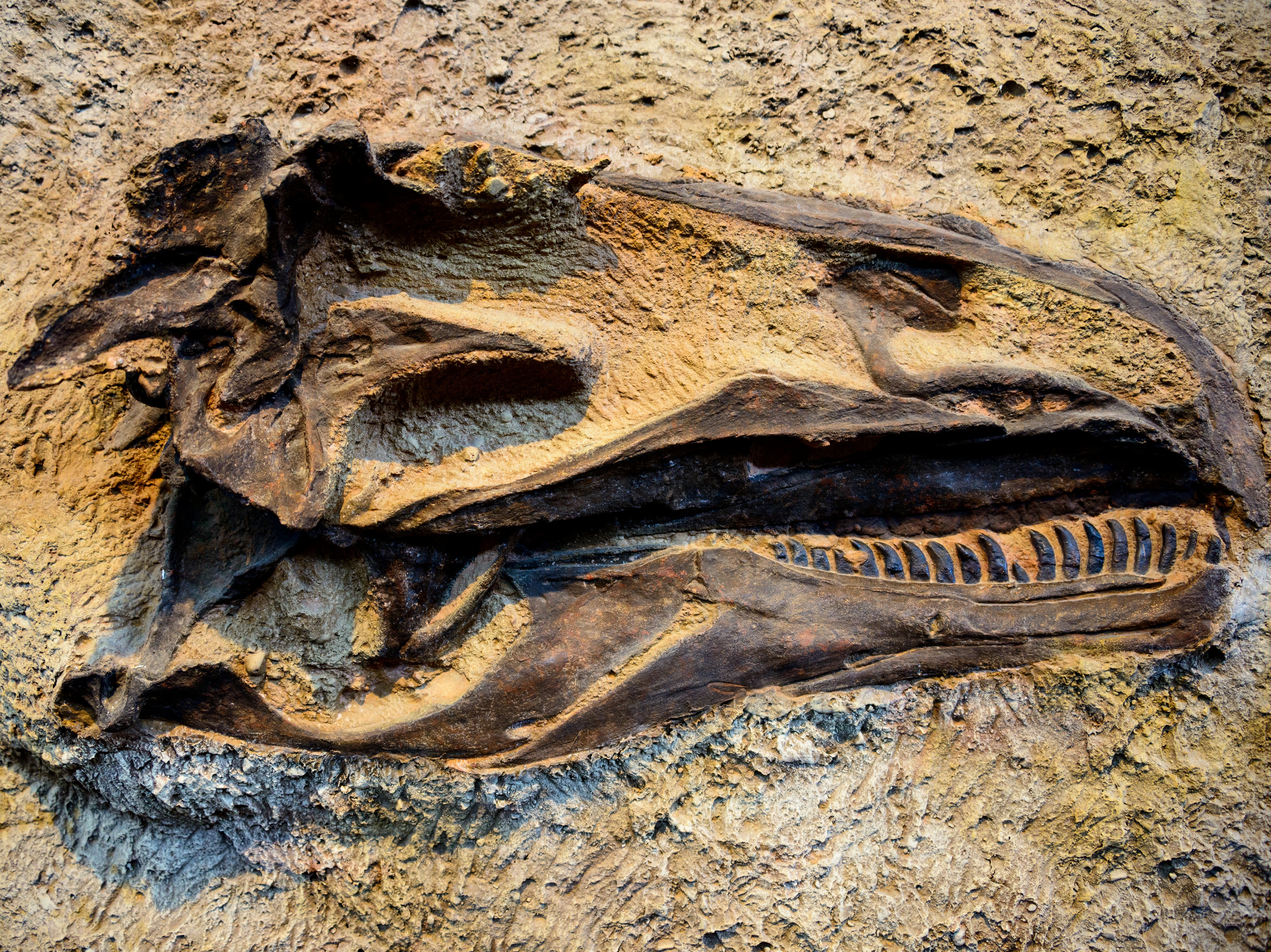 Vernal Dinosaur National Monument