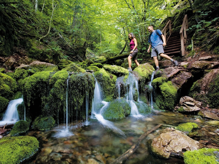 Fundy Nationalpark Wasserfall