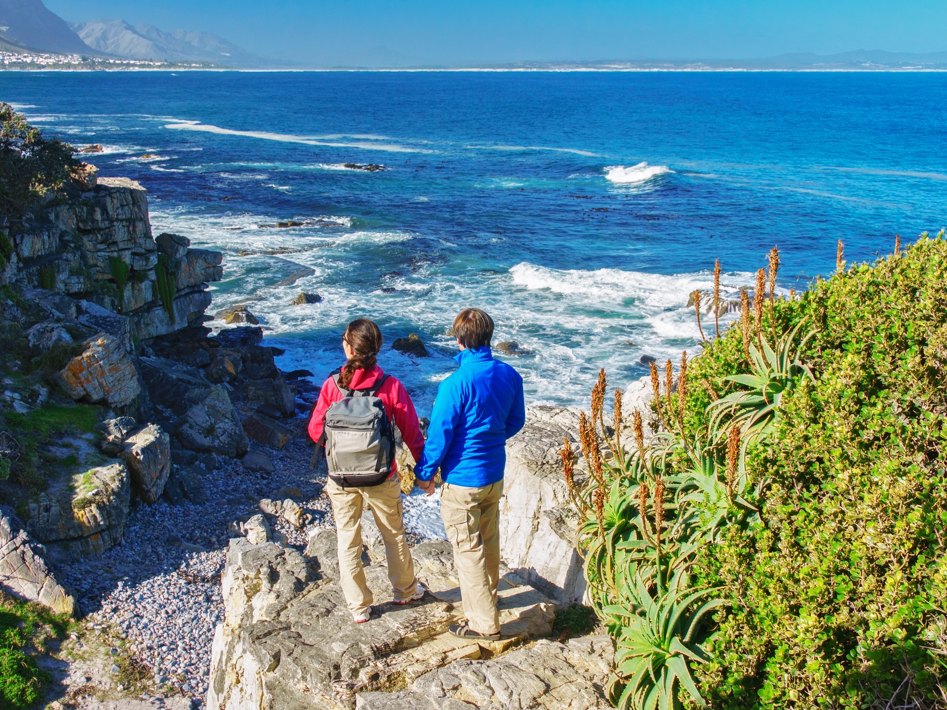 Hermanus 
