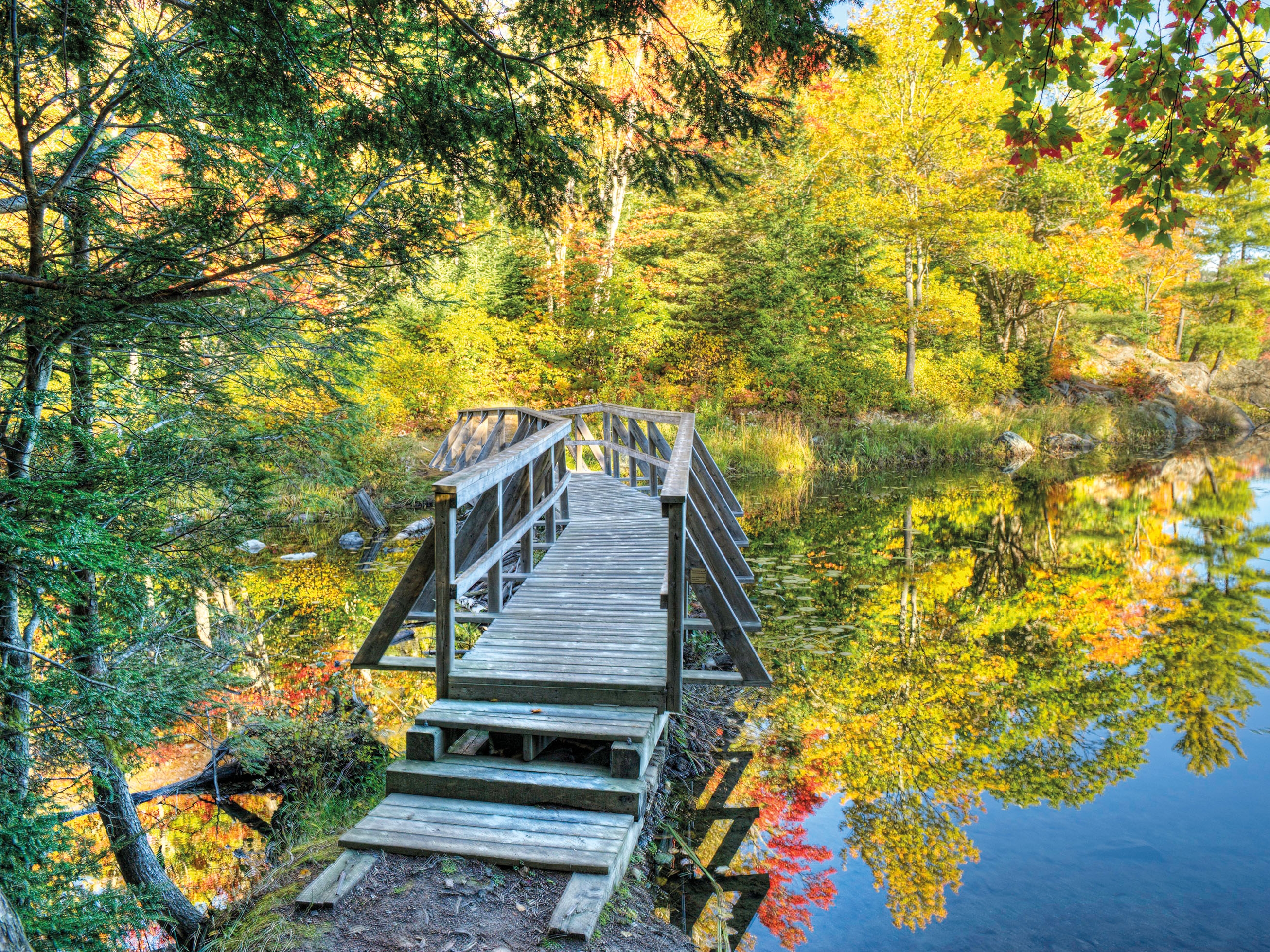 Algonquin Provincial Park