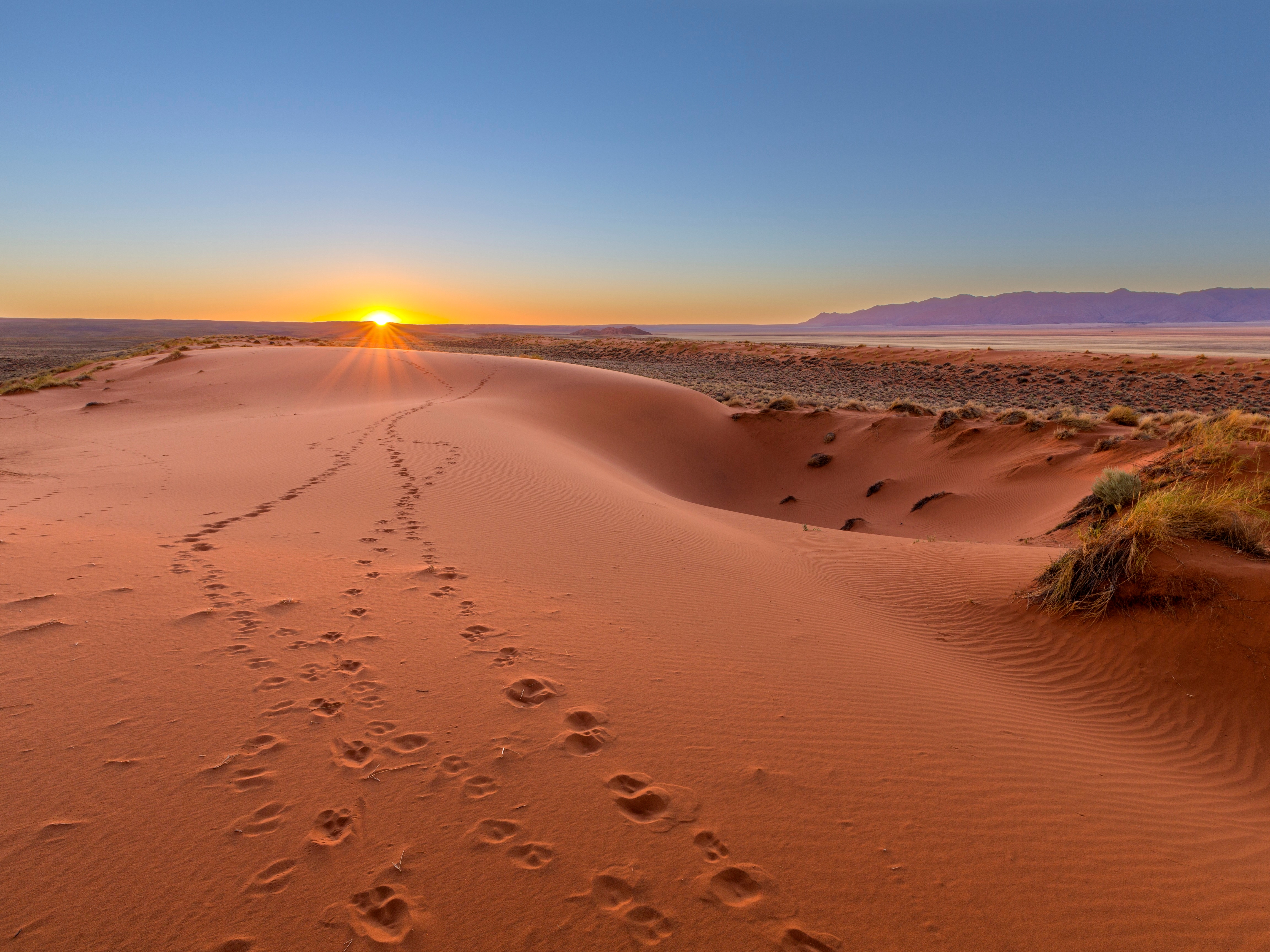 Kalahari Wueste Sonnenuntergang