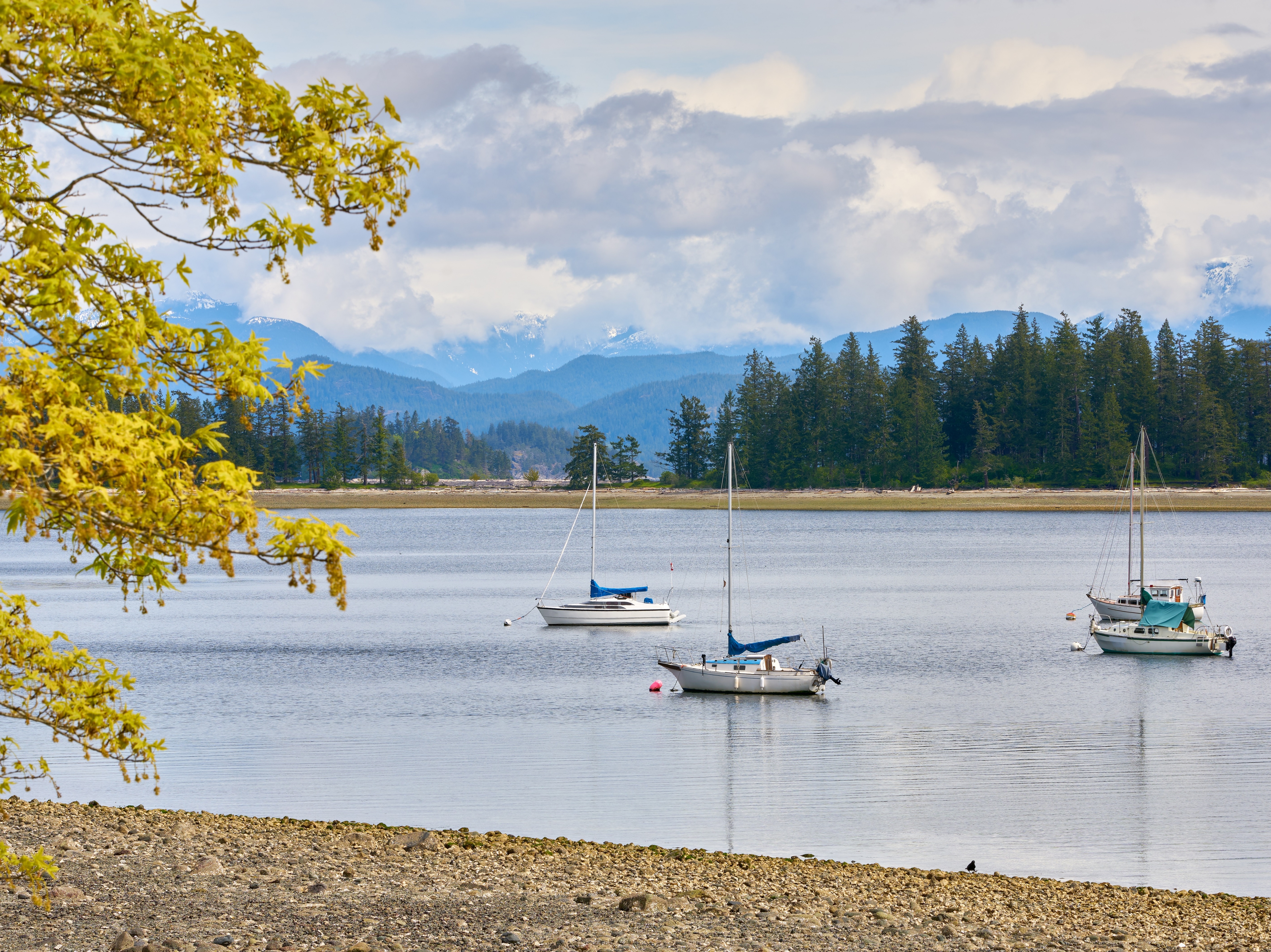 Vancouver Island Comox Rebecca NP