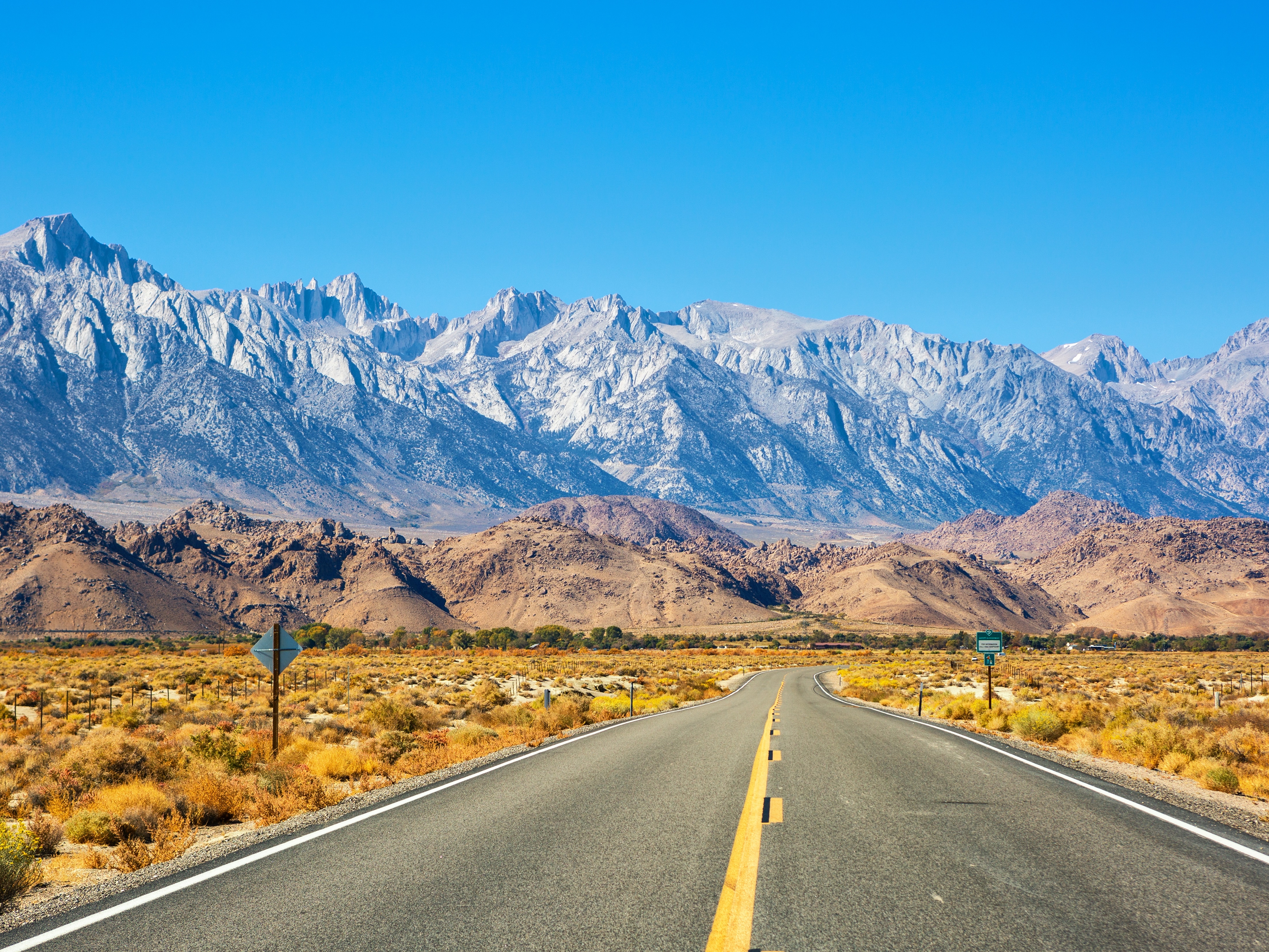 Lone Pine