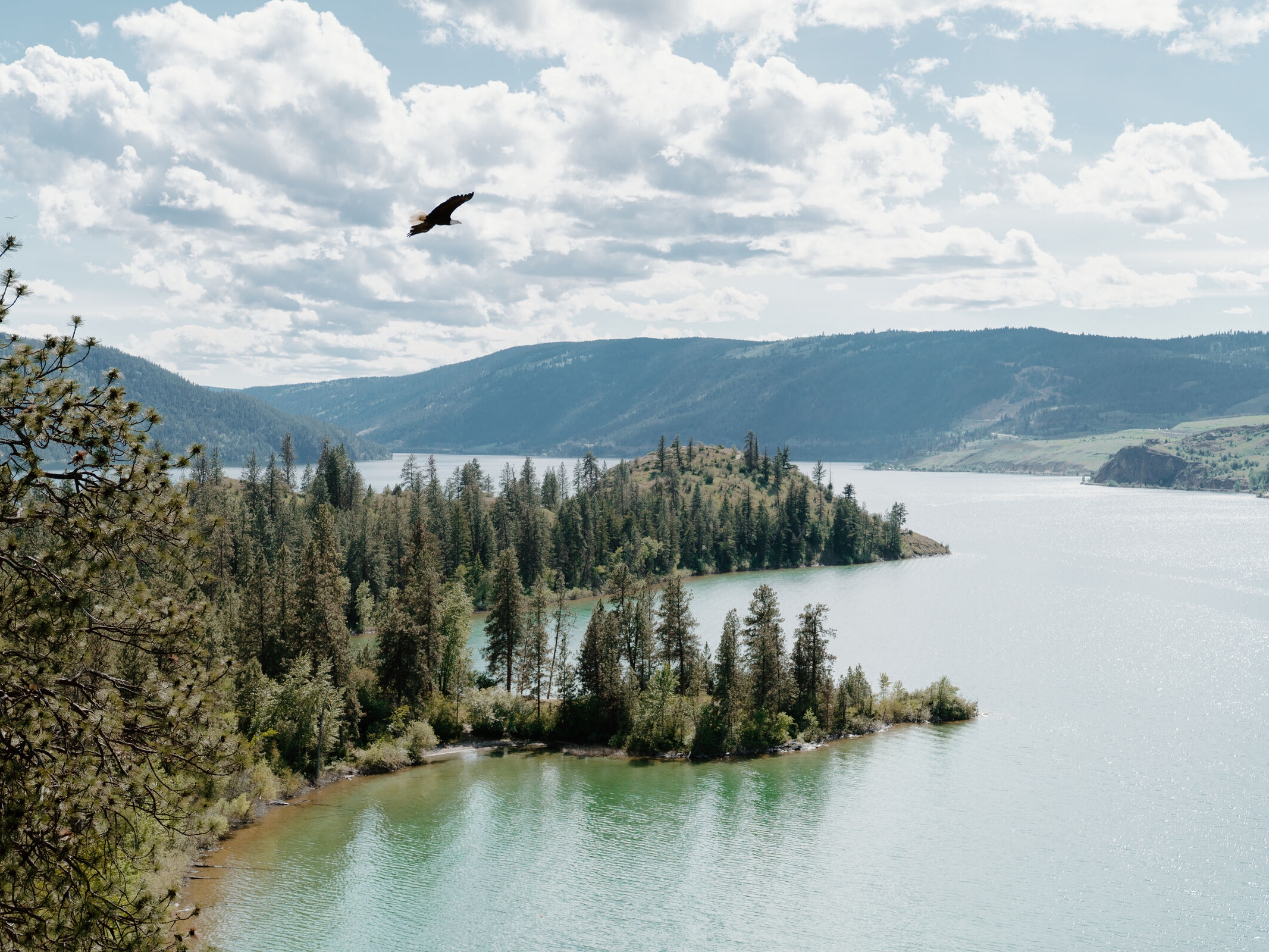 Vernon Kalamalka Lake