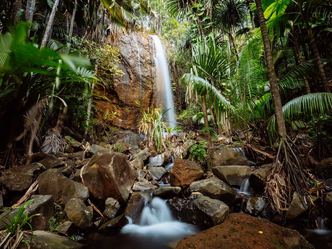 Insel Praslin Vallee de Mai