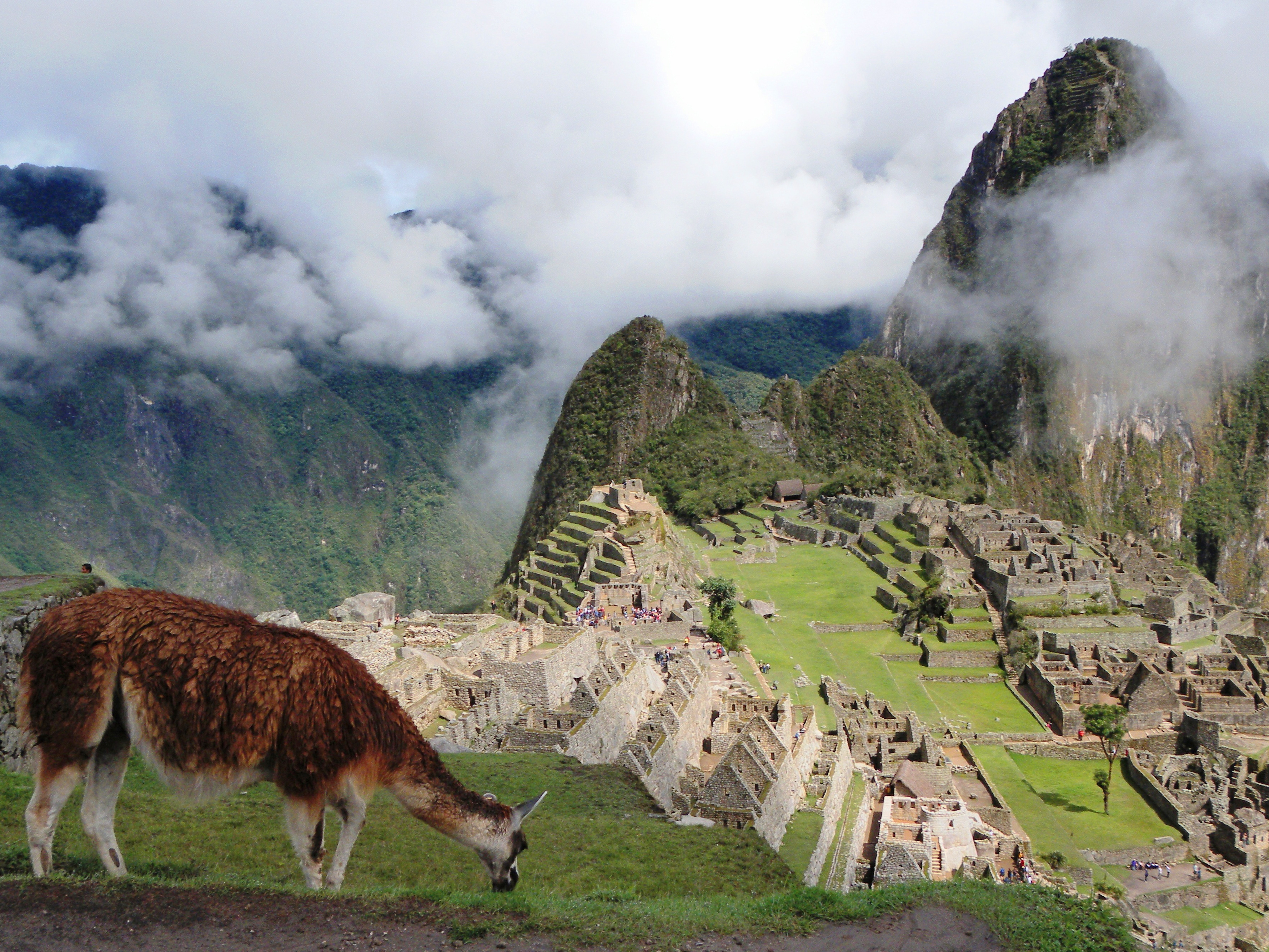 Machu Picchu + Alpaka