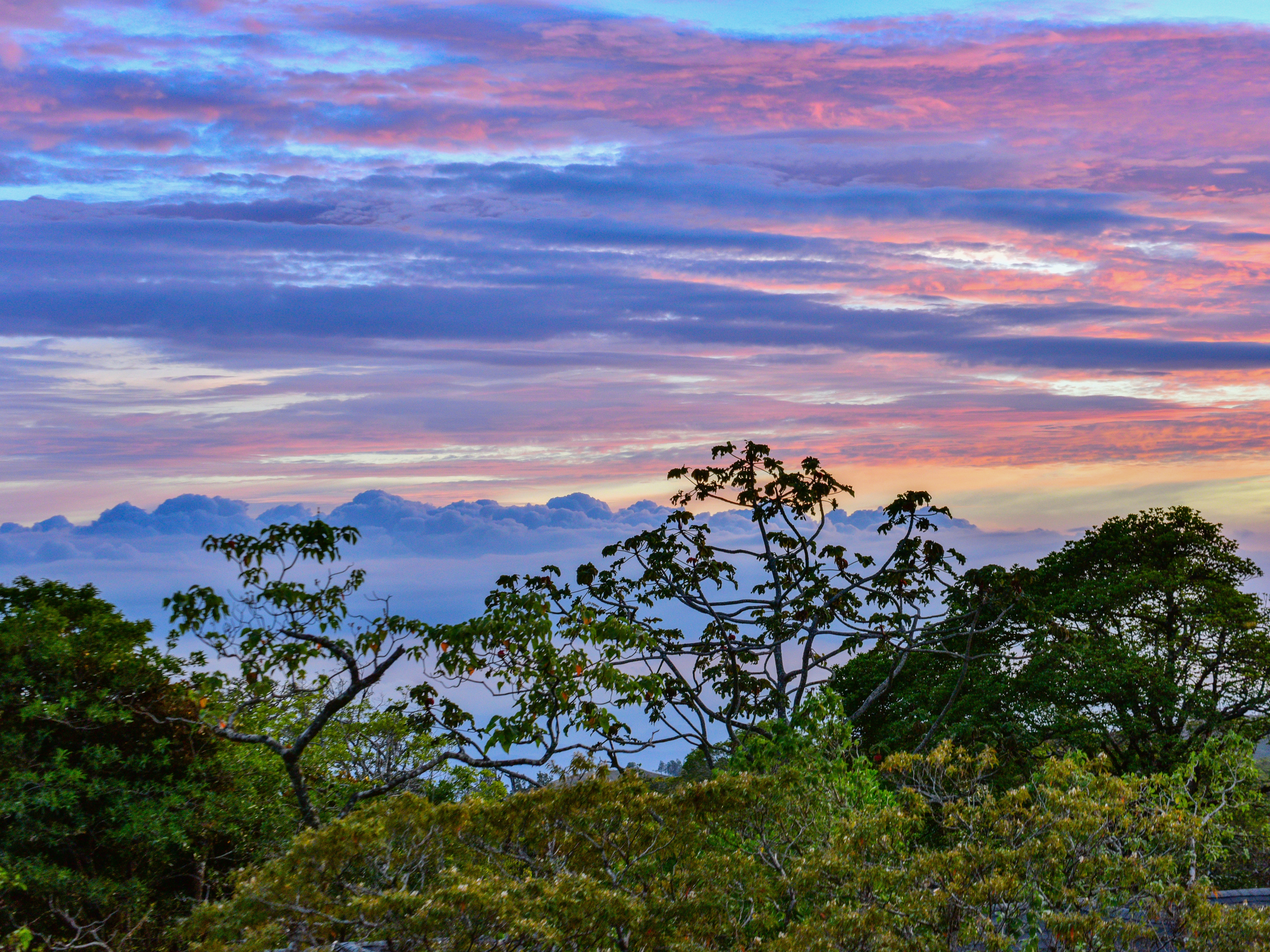 Monteverde Nationalpark