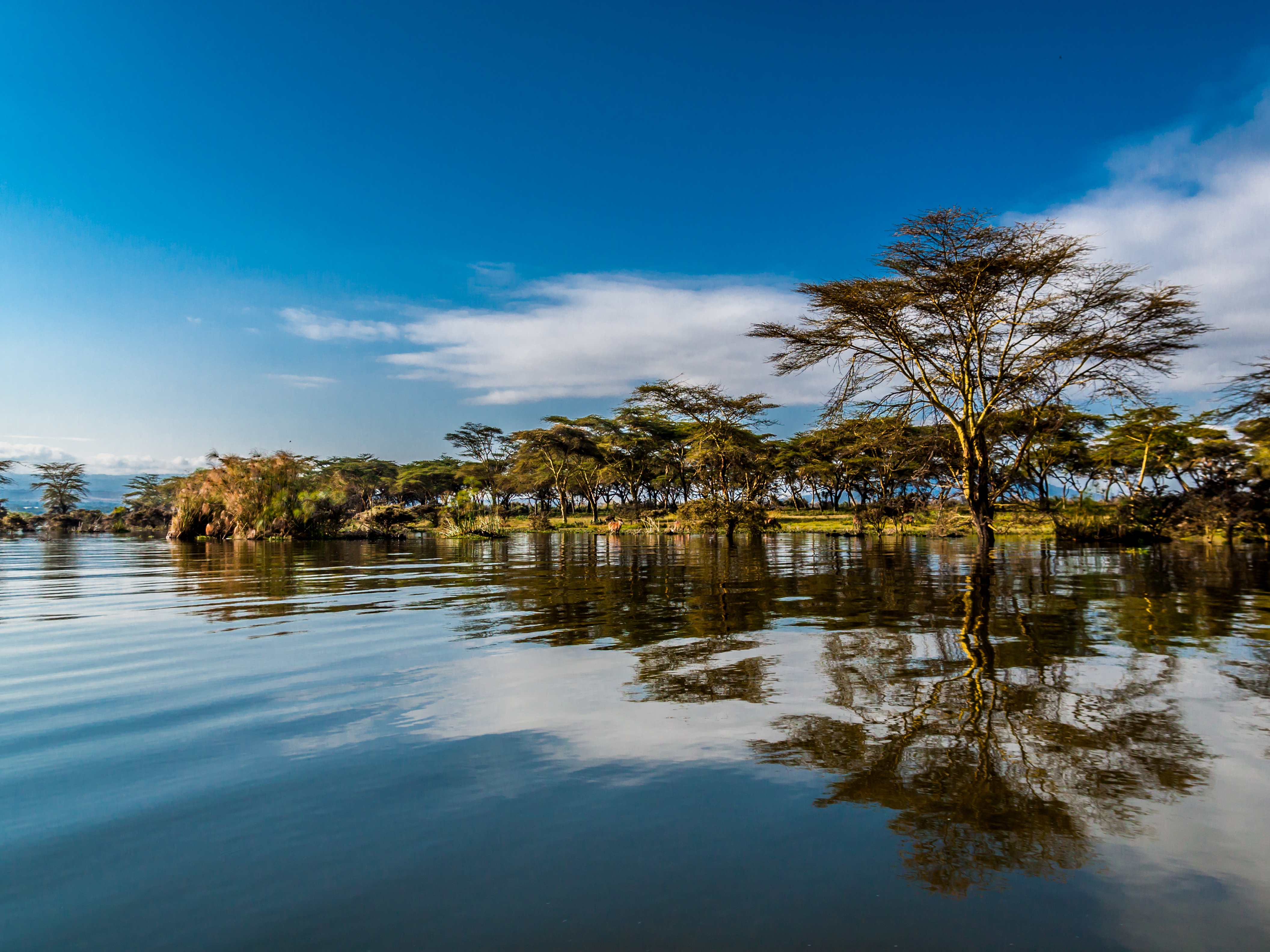 Great Rift Valley Lake Naivasha