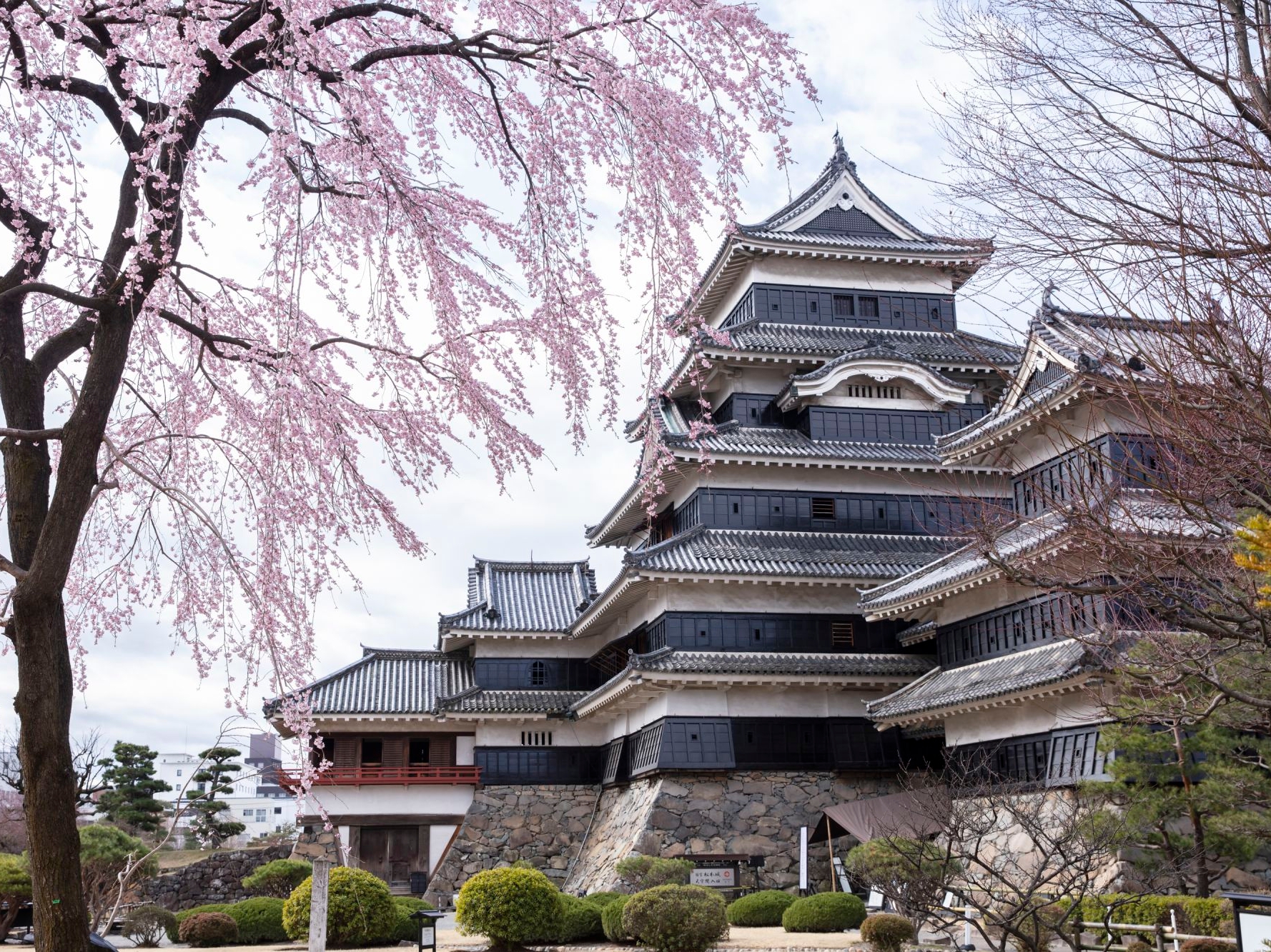 Matsumoto Burg