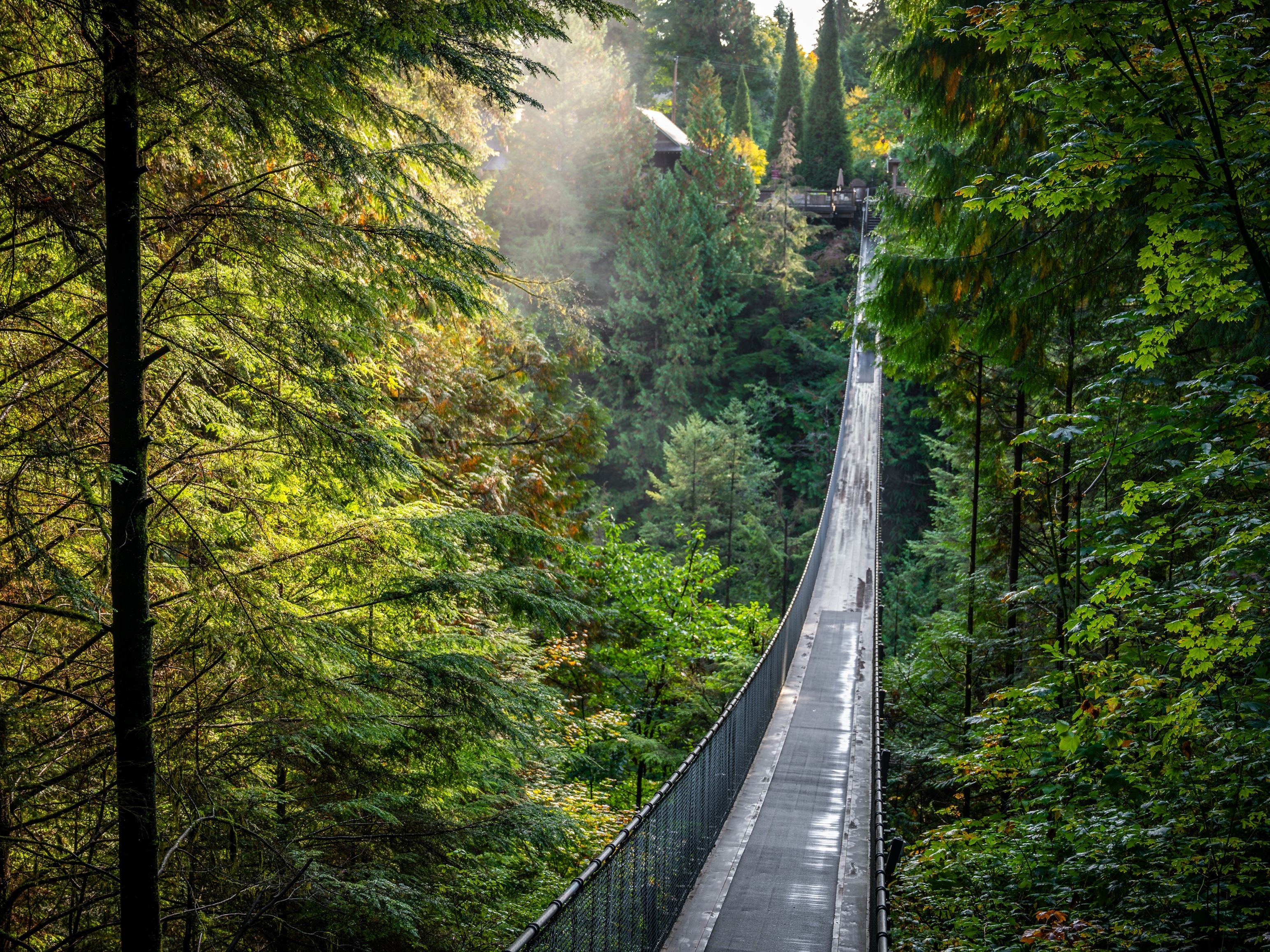 Capilano Suspension Bridge Park