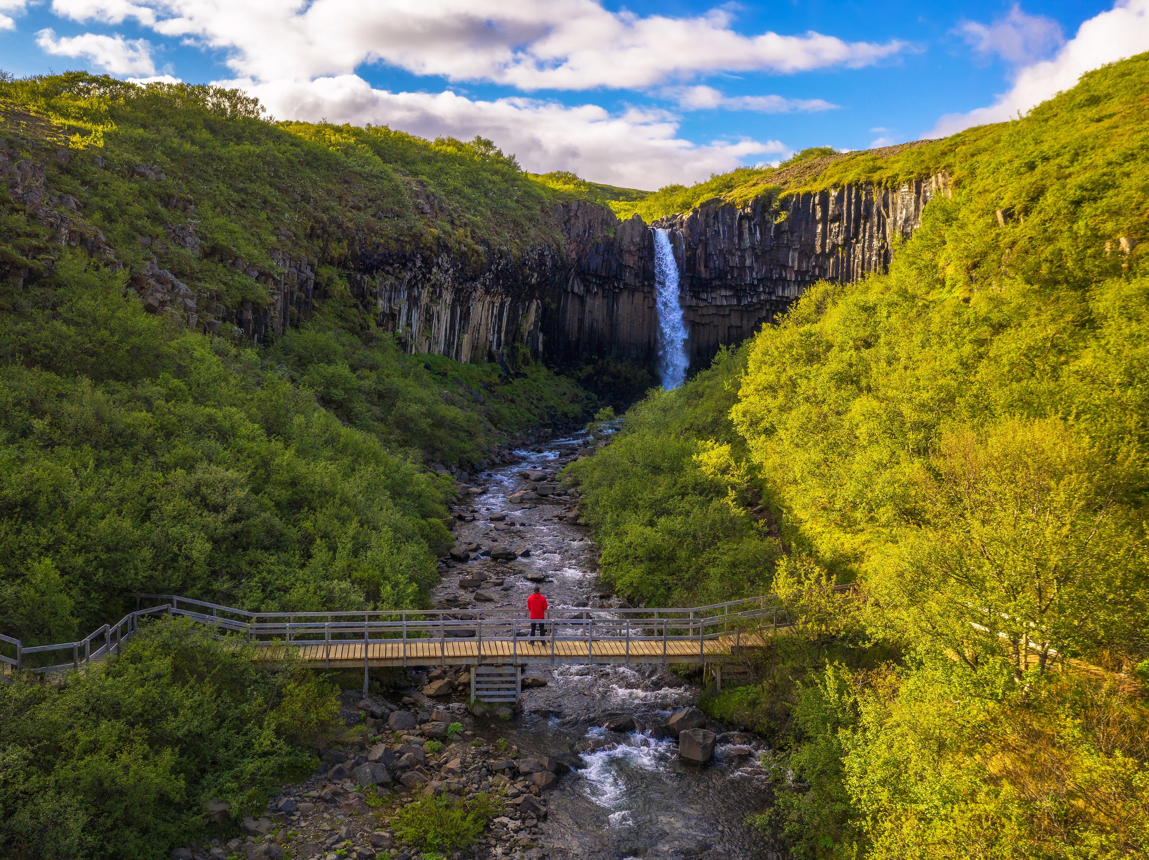 Svartifoss Wasserfall