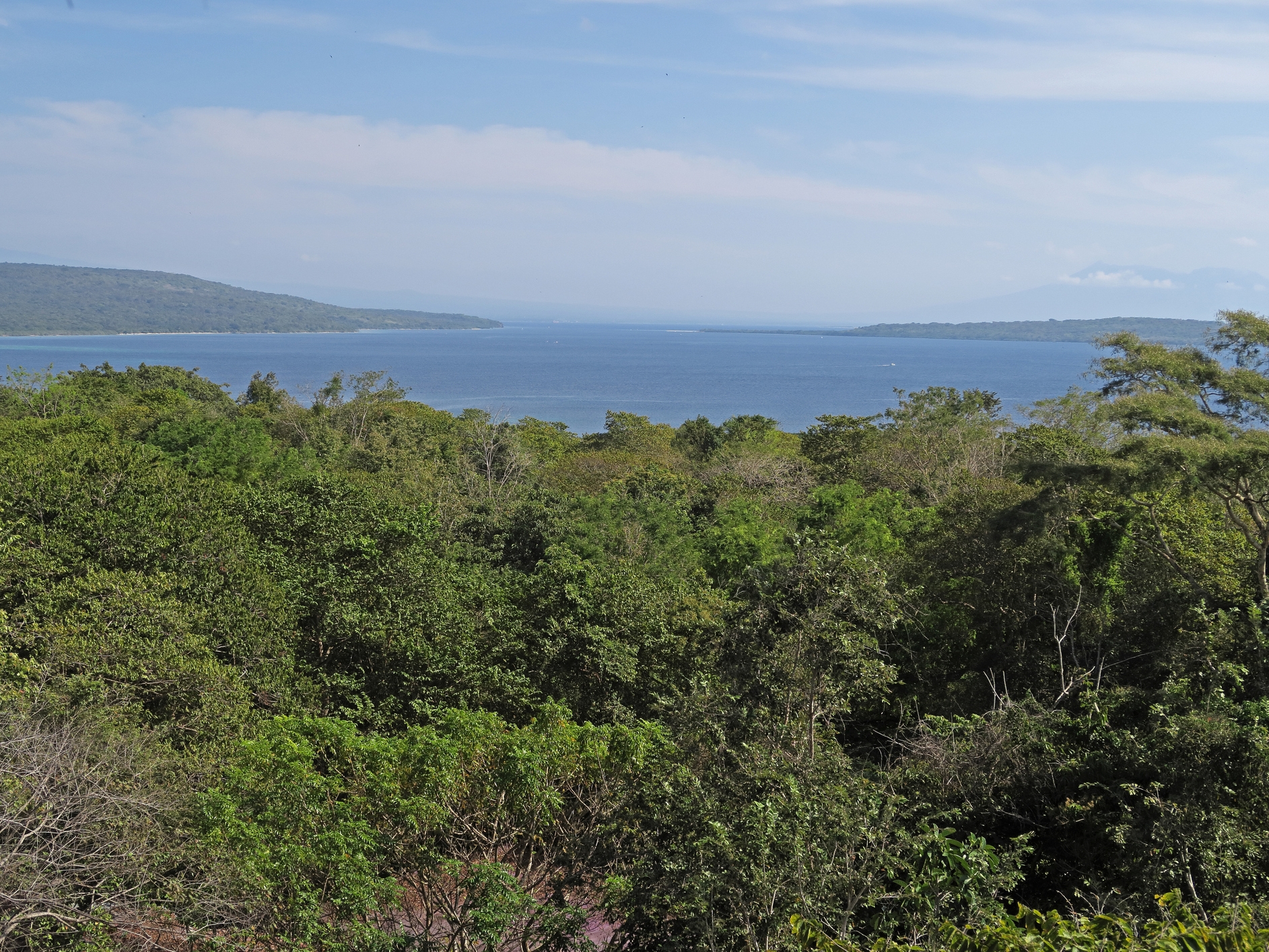 Bali Barat Nationalpark