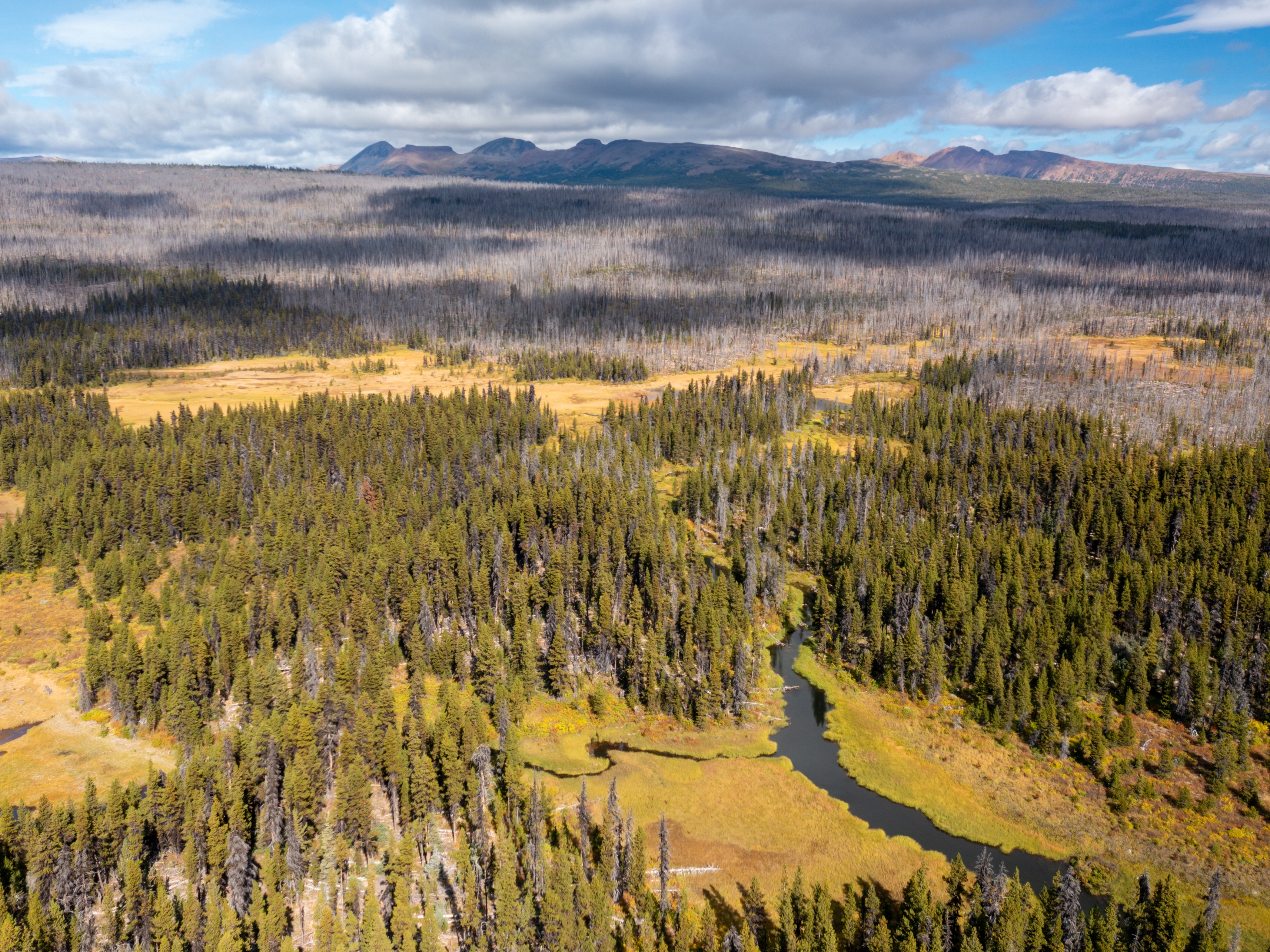 Tweedsmuir South Provincial Park