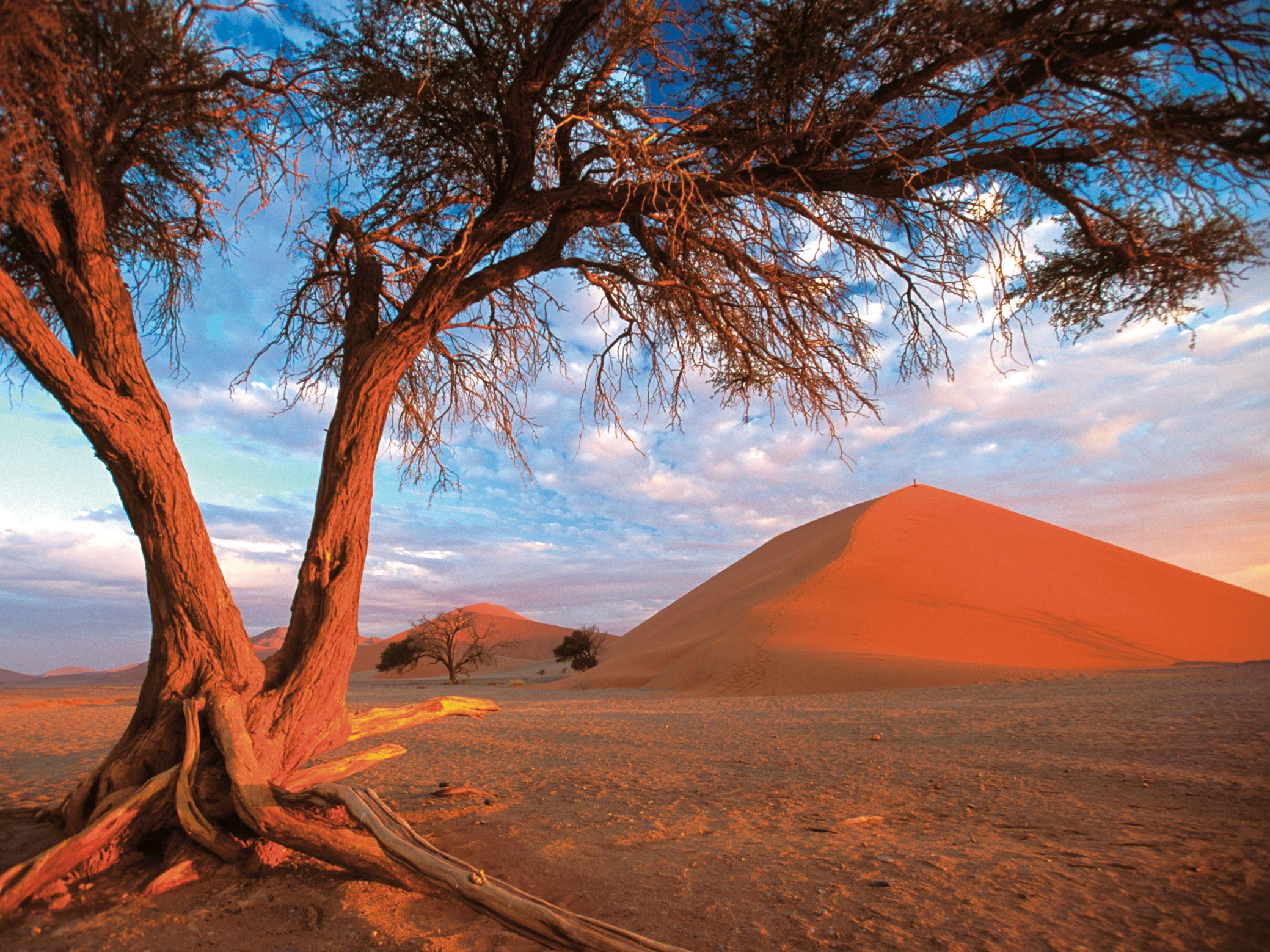 Namib Naukluft Nationalpark Duene
