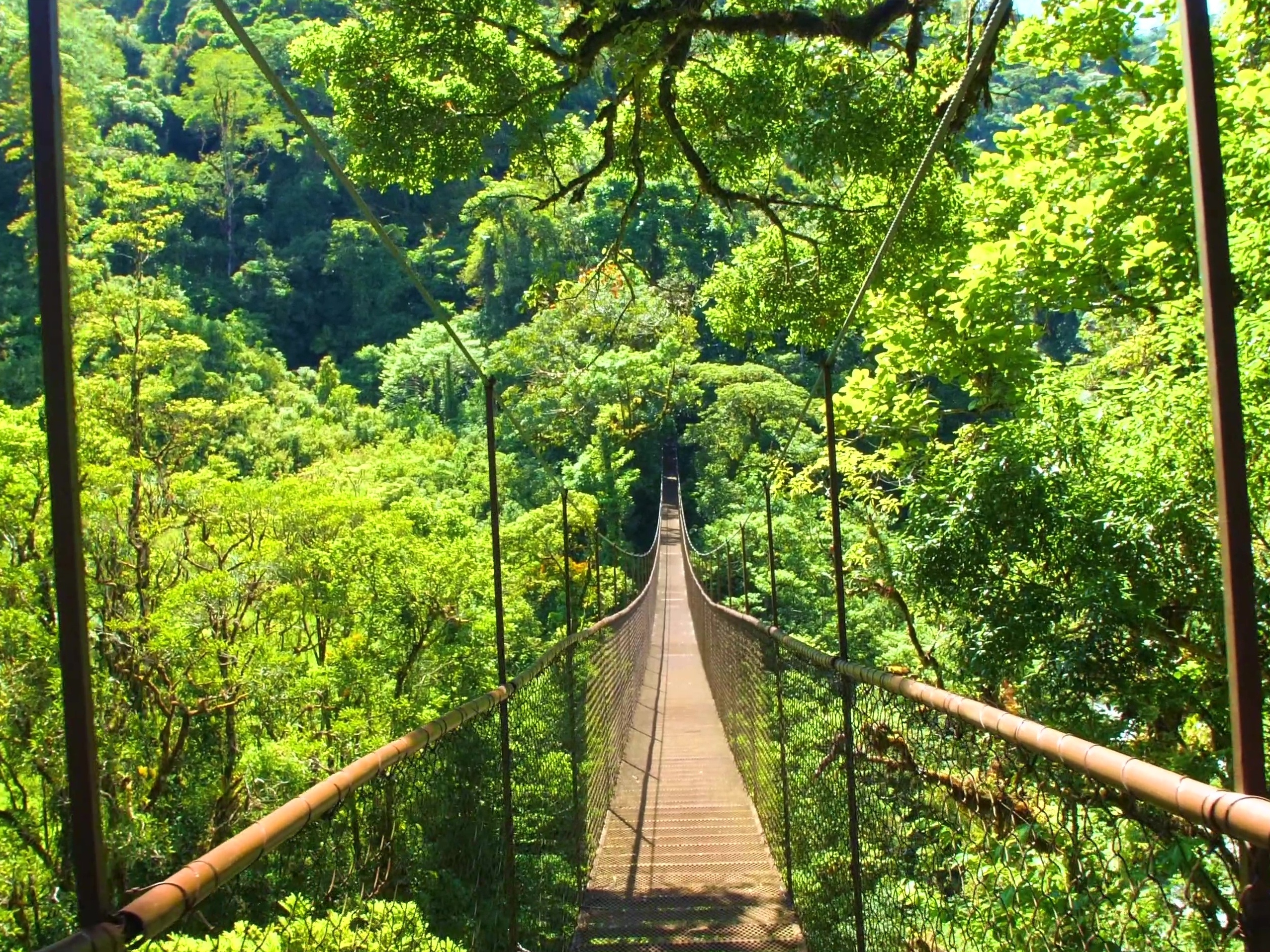 Volcan Baru Nationalpark