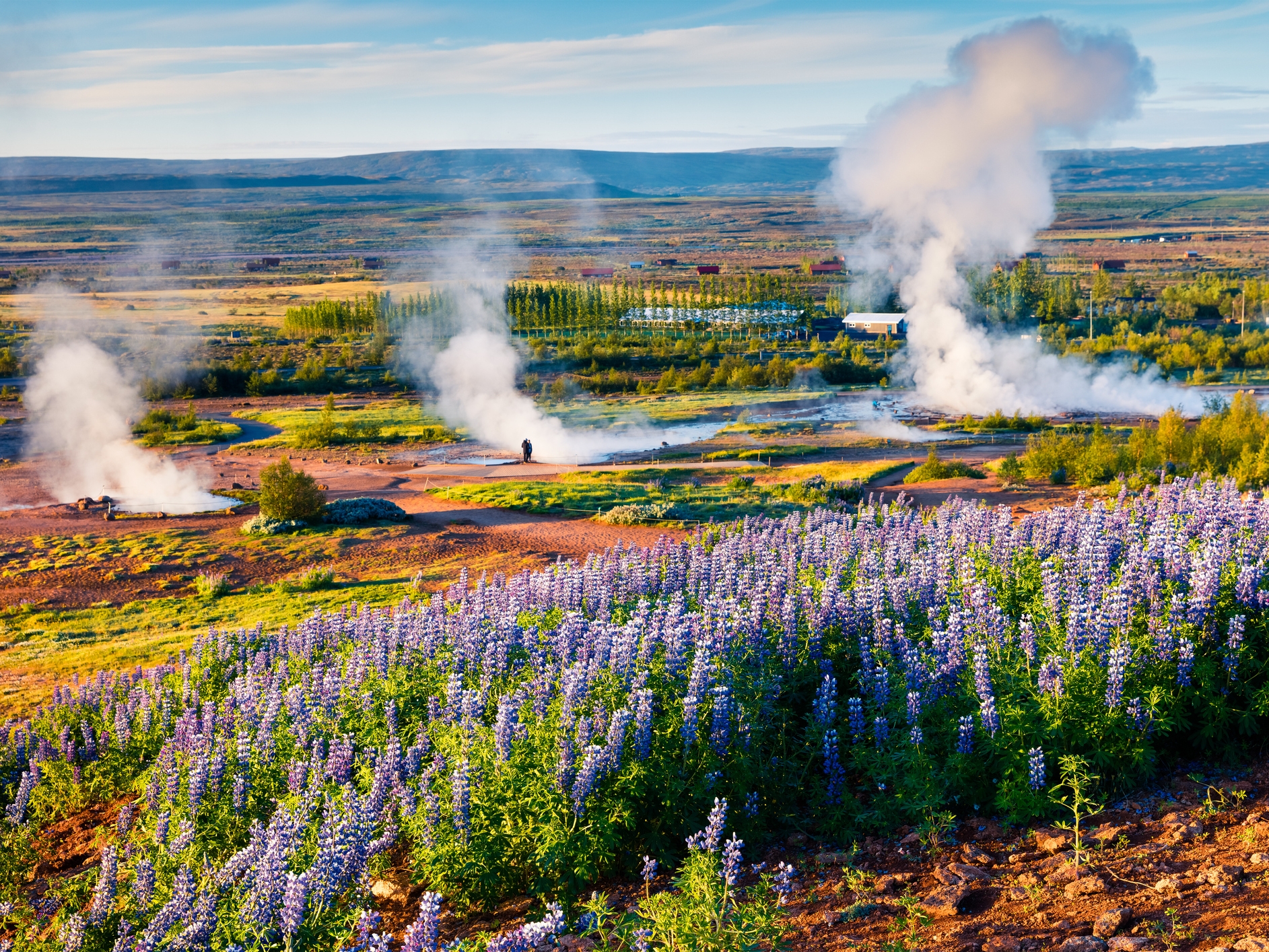 Haukadalur Tal Großer Geysir