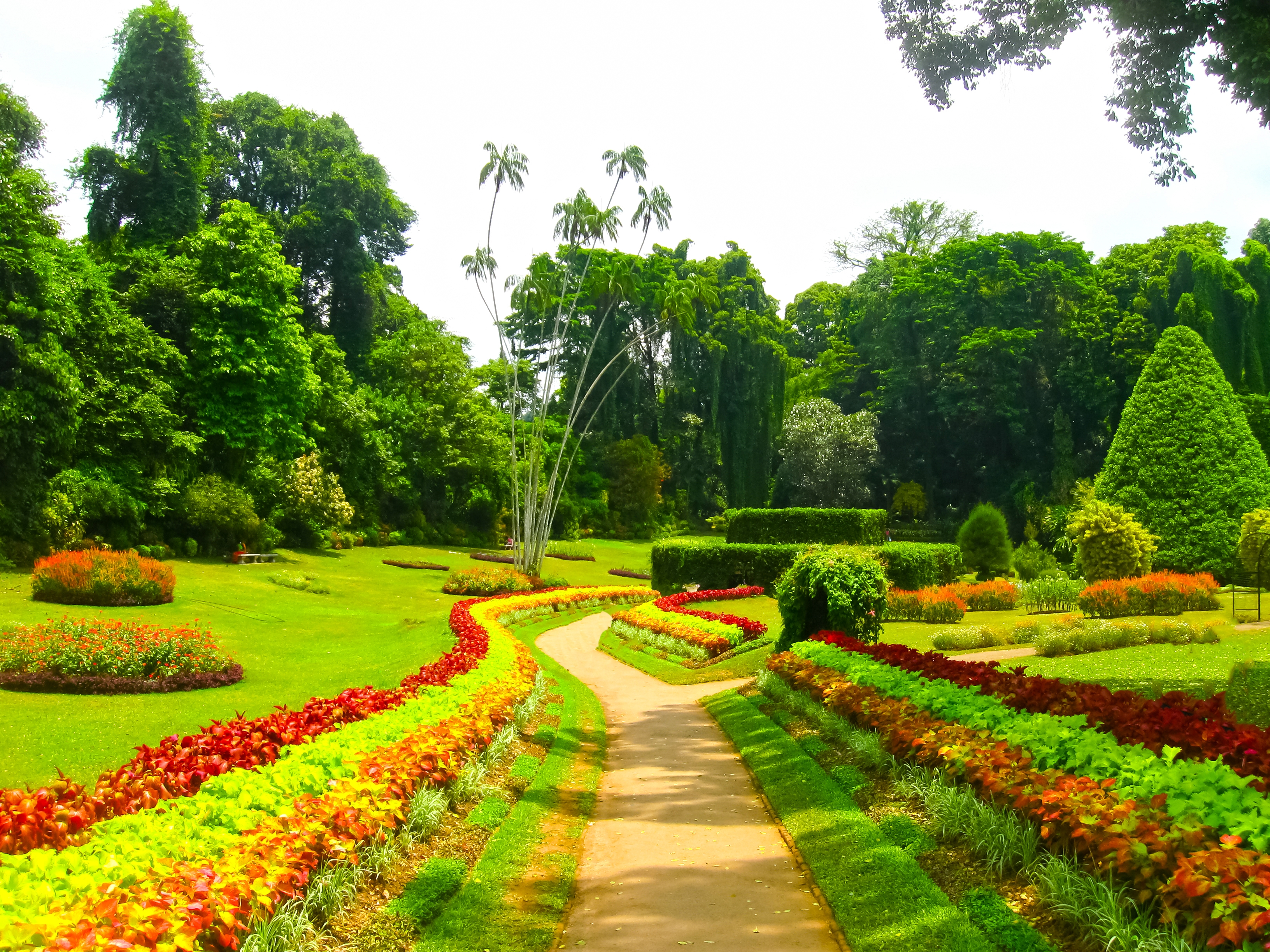 Kandy Botanischer Garten Peradeniya