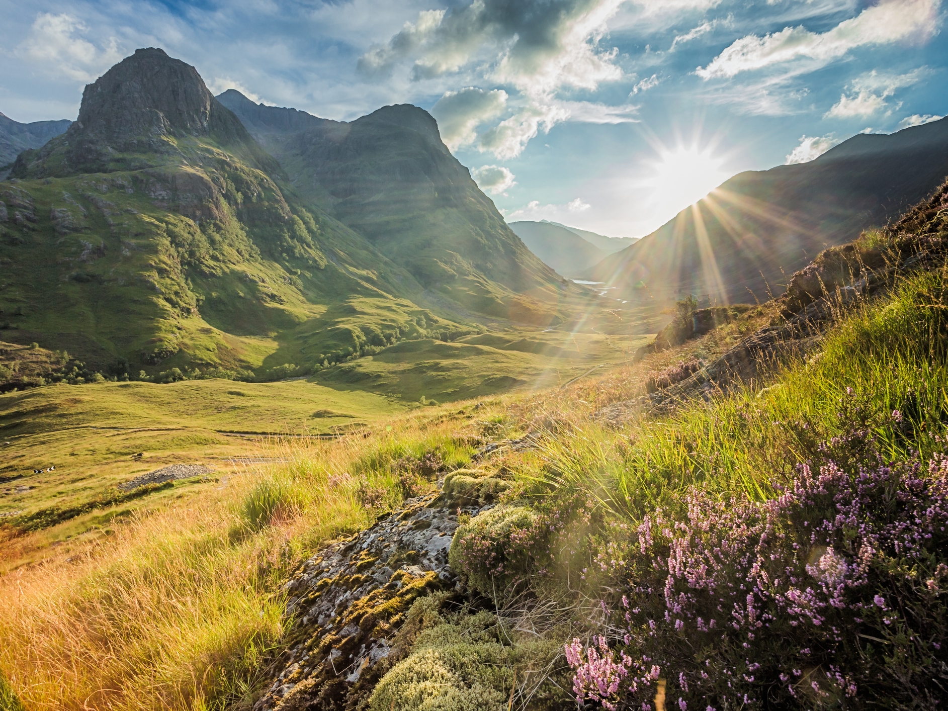 Glencoe