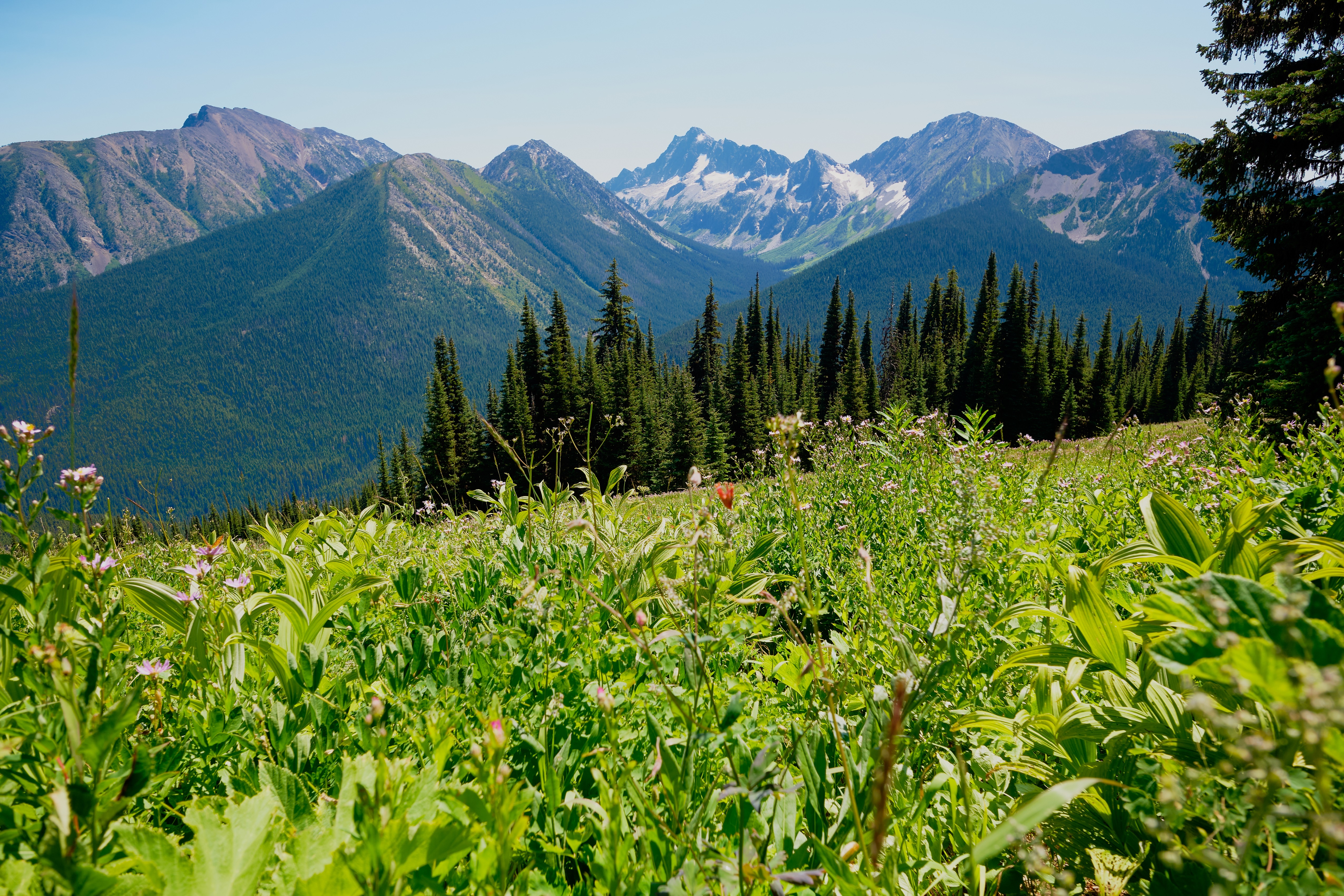 Manning Park