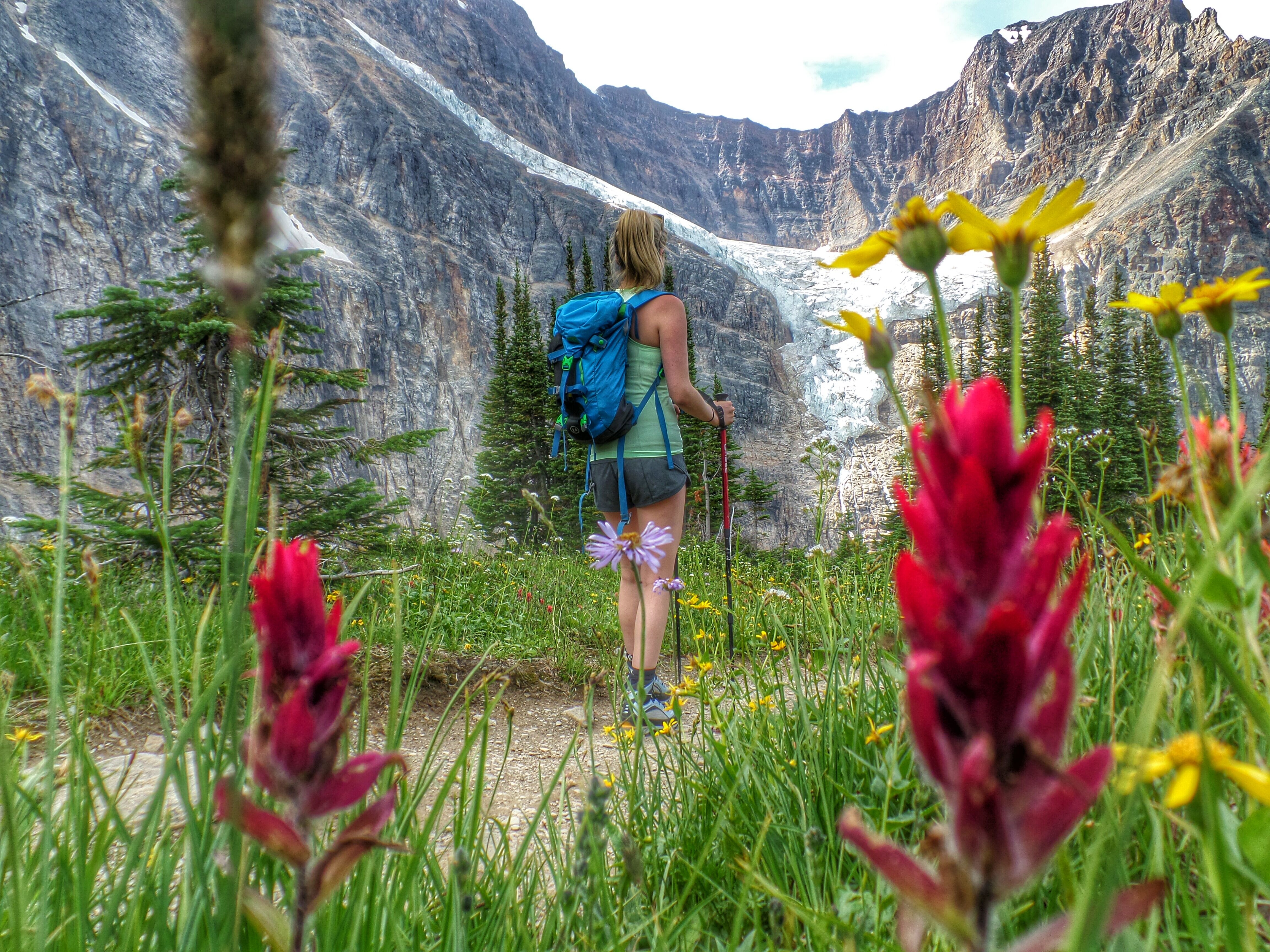 Jasper Nationalpark Wanderweg Sommer