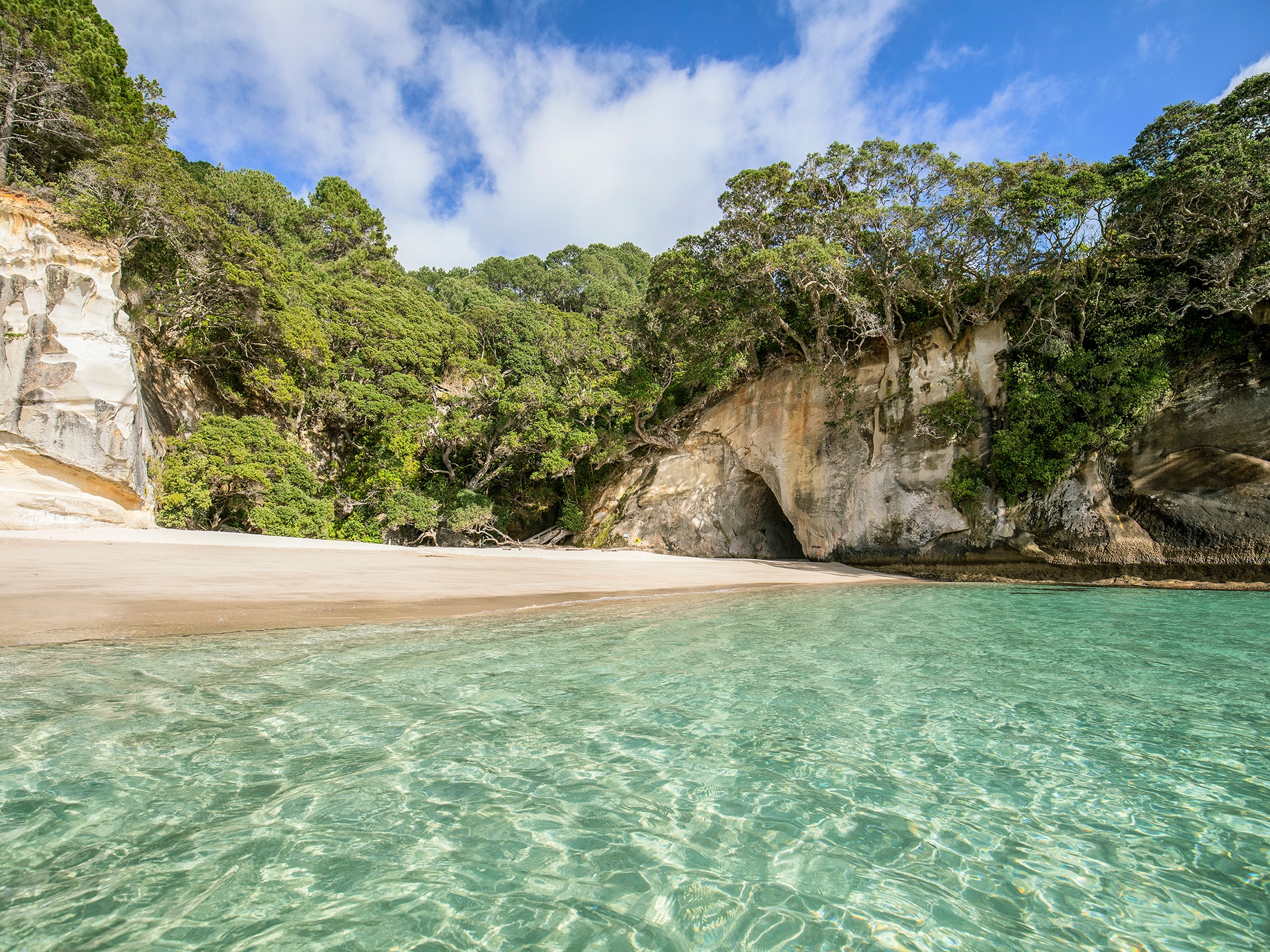 Coromandel Peninsula Cathedral Cove