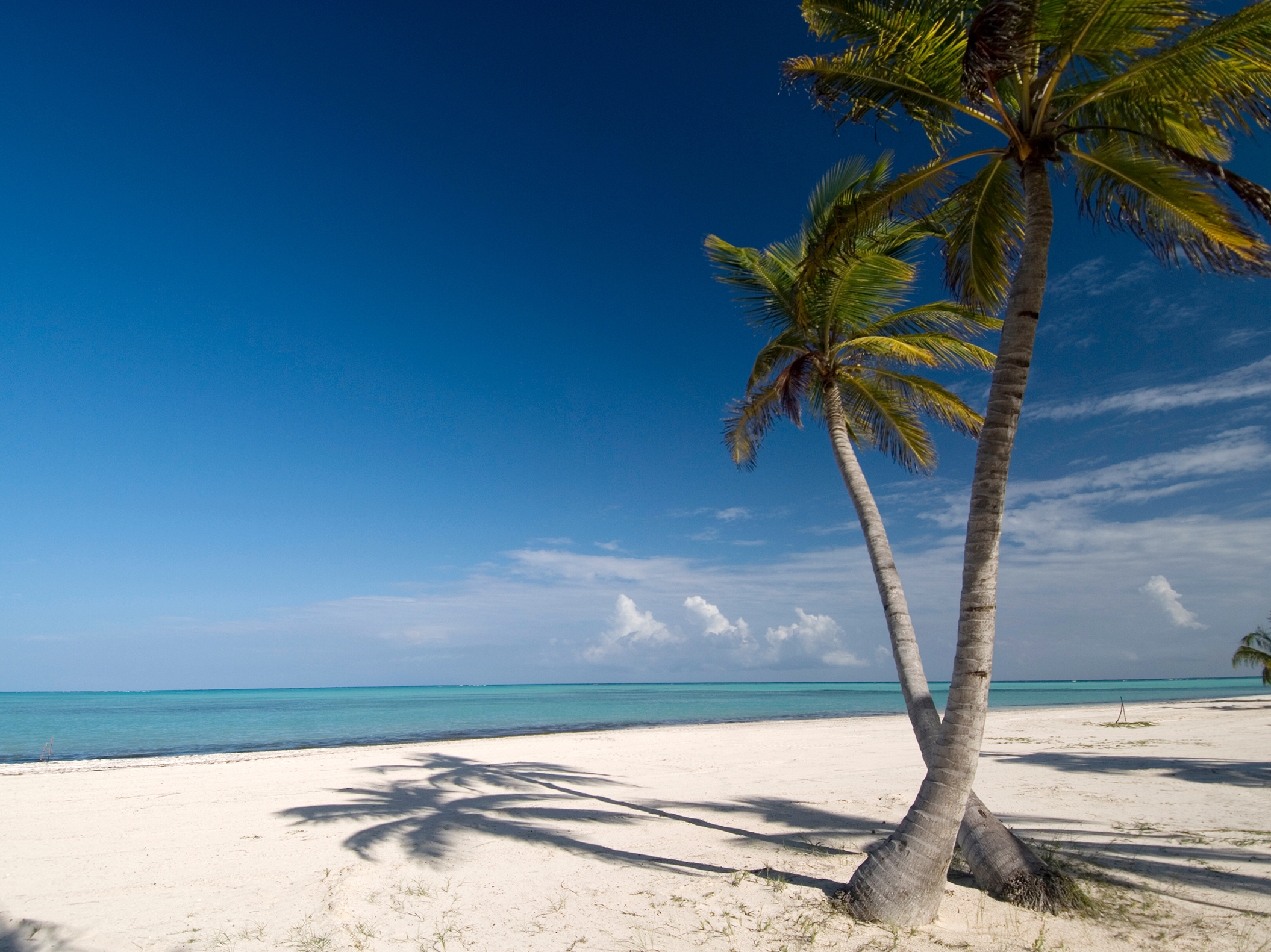 Punta Cana