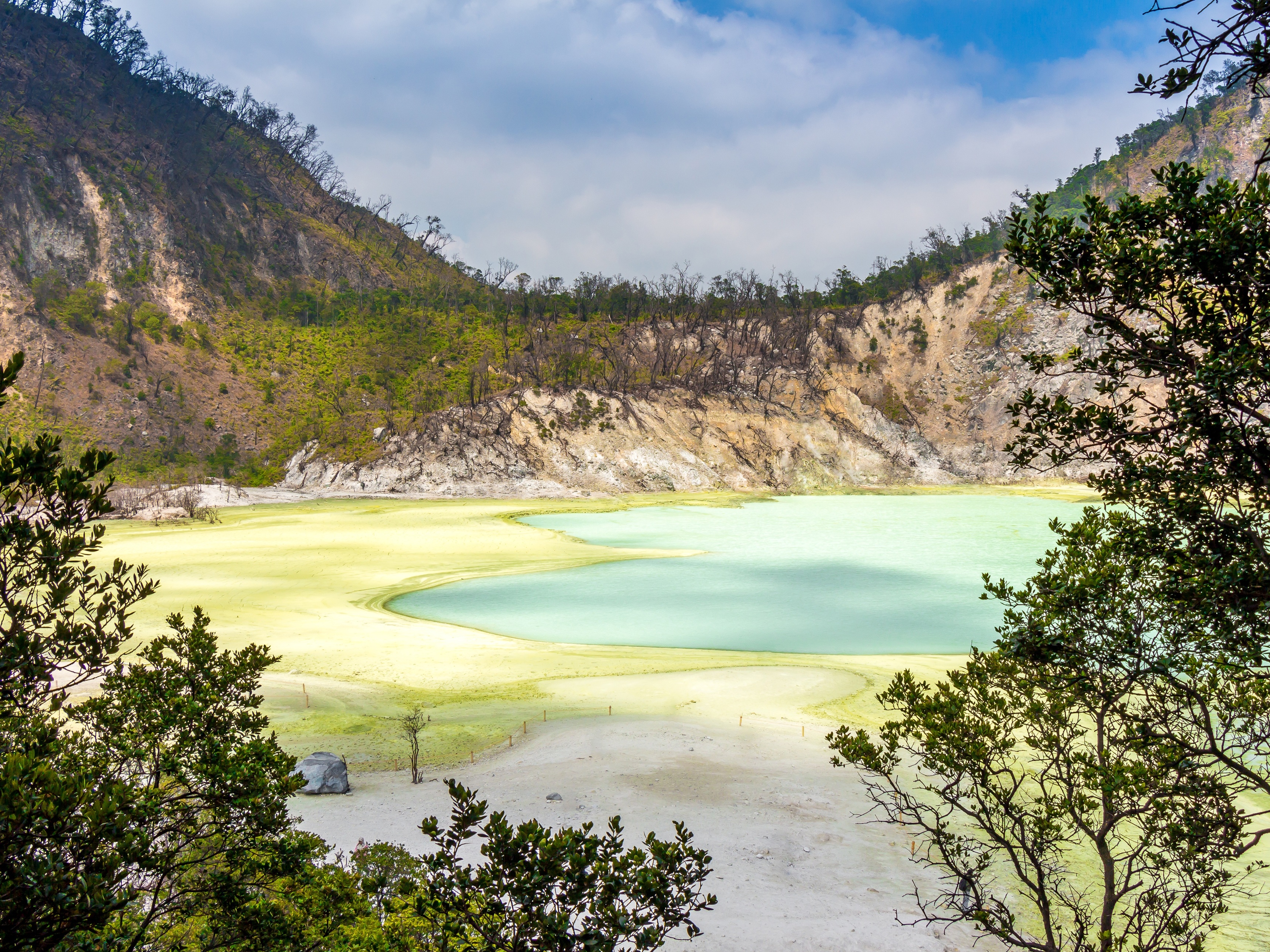Java Bandung White Crater