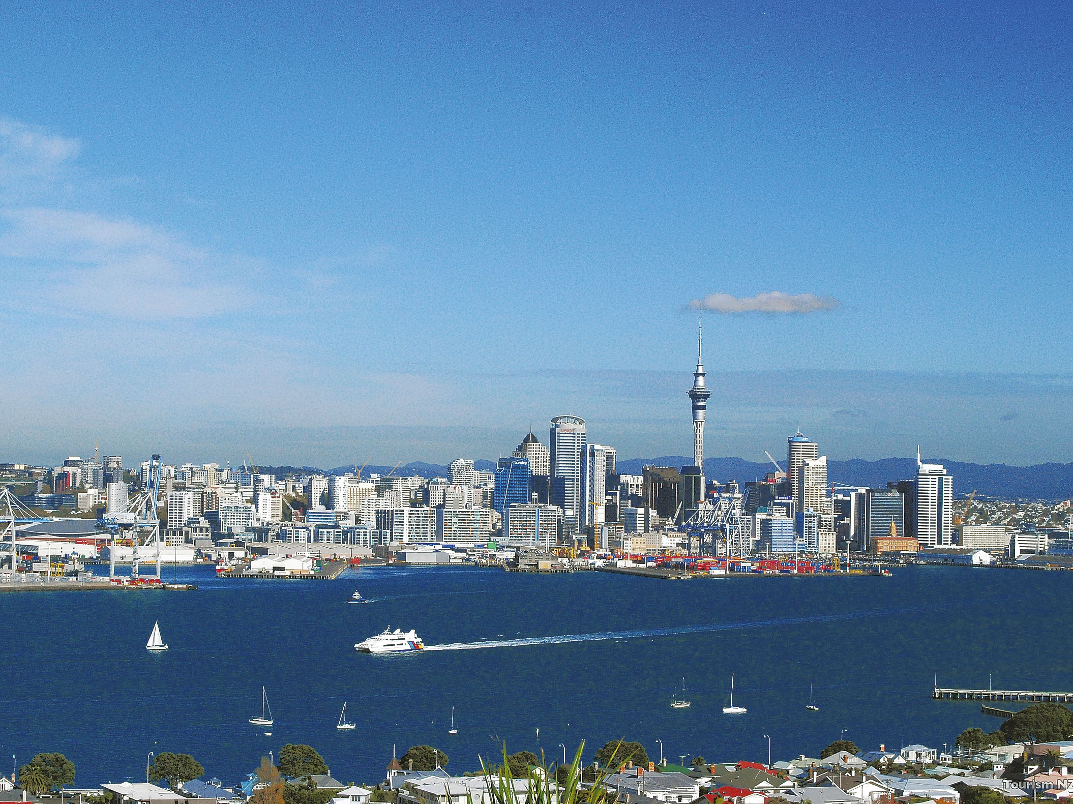 Auckland Skyline