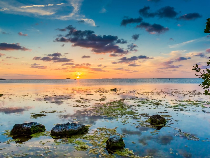 USA - Florida - Key Largo
