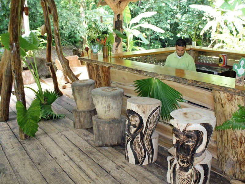 Danta Corcovado Lodge - Bar