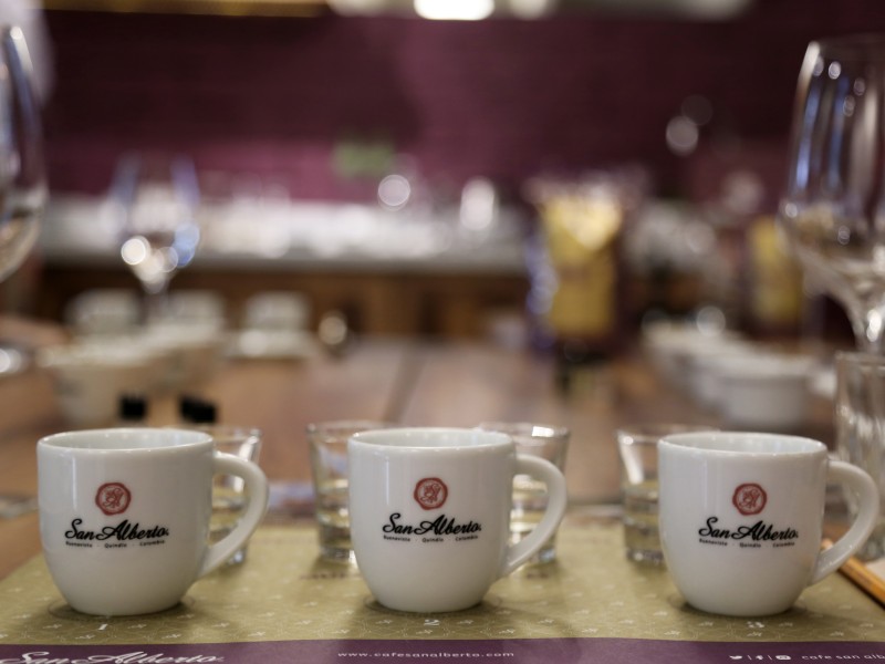 Kaffeeanbau San Alberto