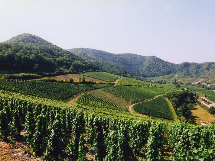 Germany - Eifel - Ahr