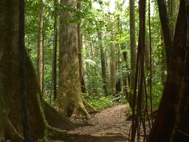 Waitukubuli national trail