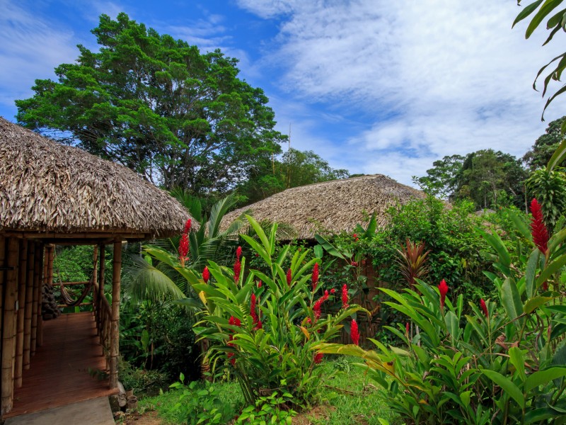 La Selva Lodge - Cabaña Aussenansicht