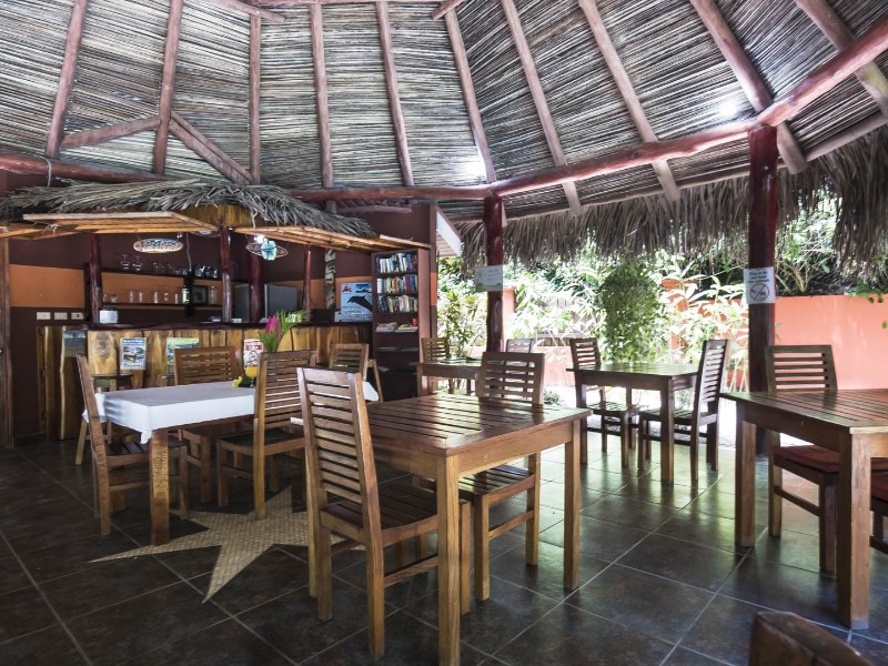 El Pequeño Gecko Verde - Restaurant