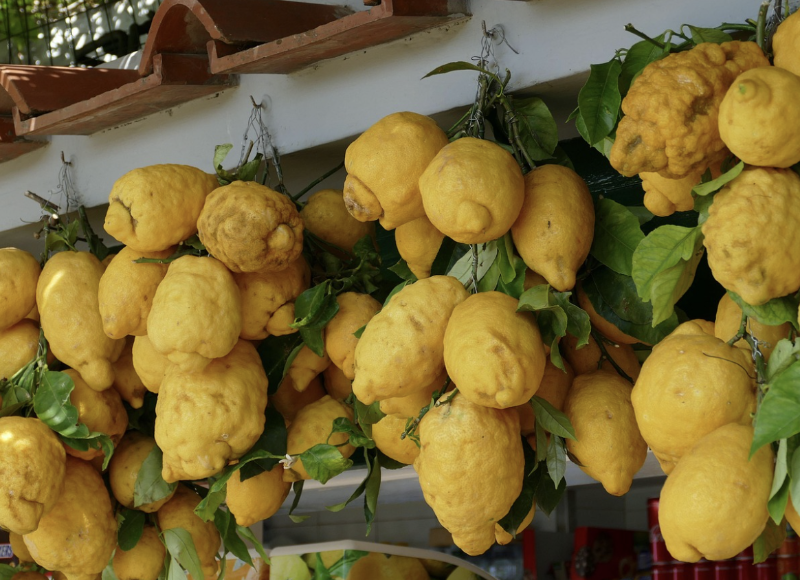 Lemons in Capri