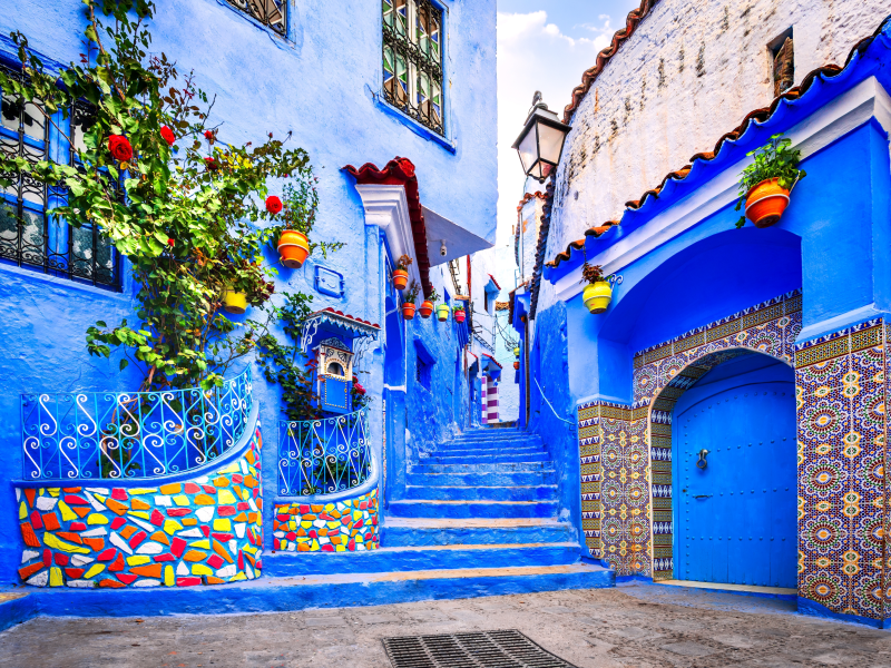  Blue staircase and colorful flowerpots