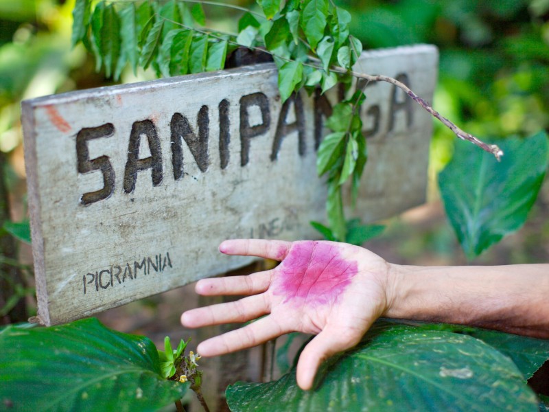 Sanipanga