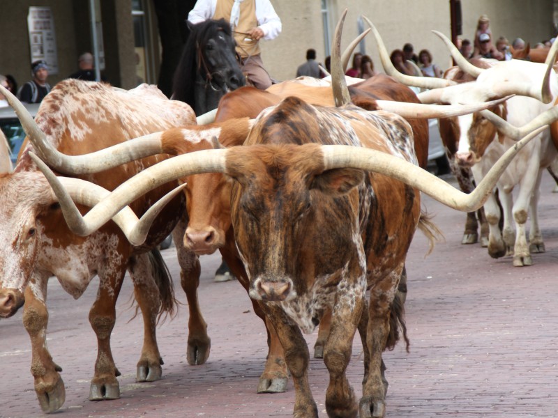 USA - West-USA - Fort Worth