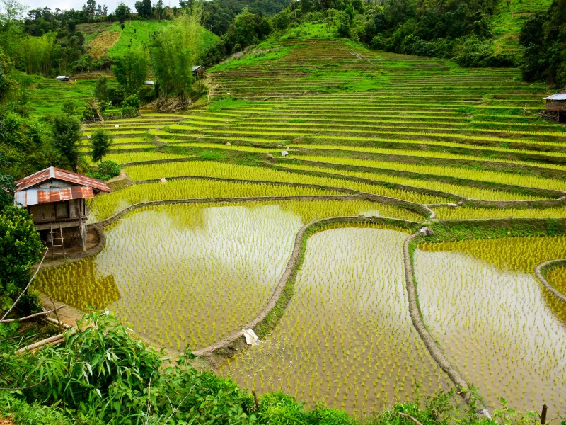 Thailand - Mae Sariang